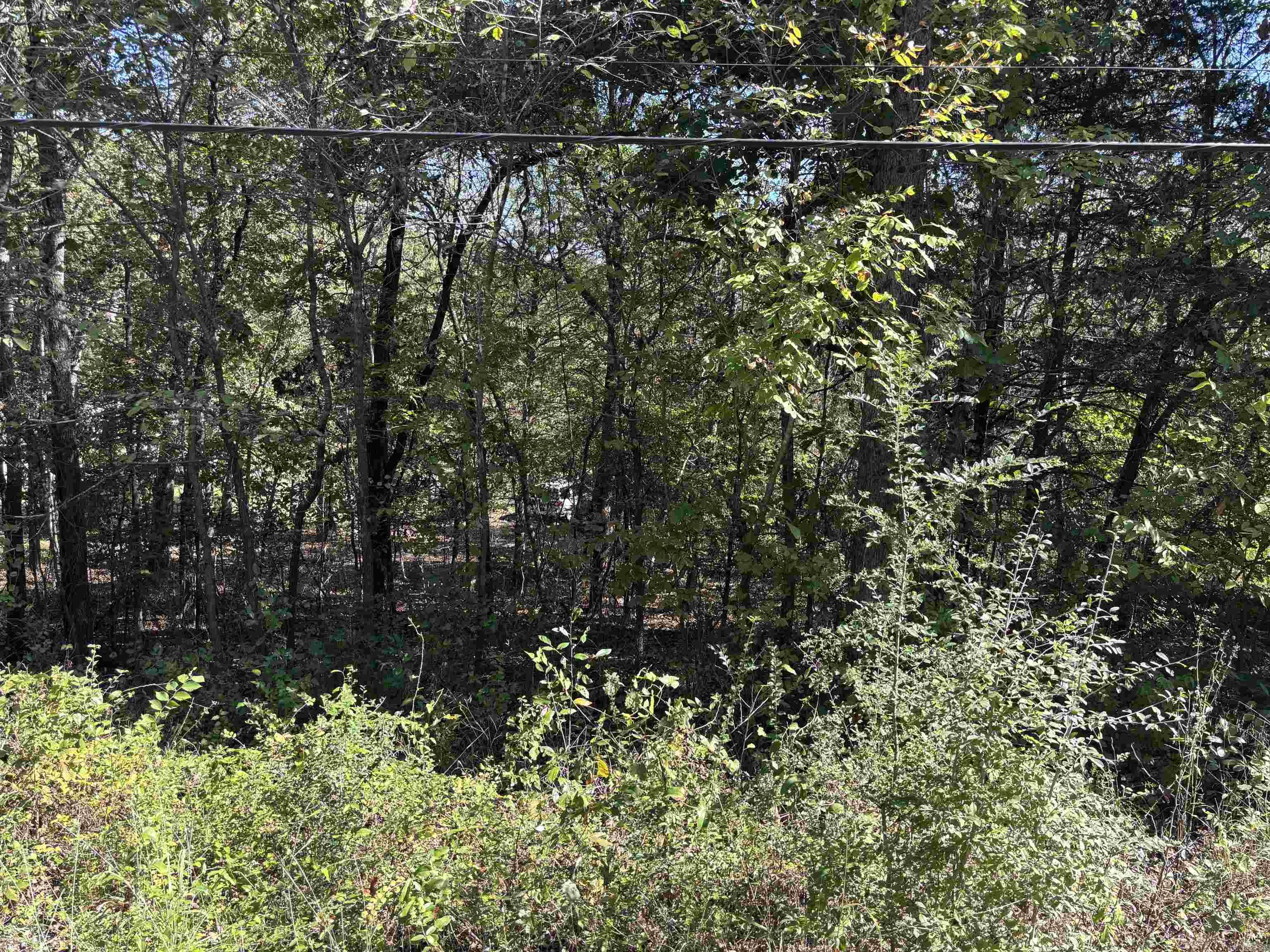 TBD W Lakeshore  Cherokee Village, AR