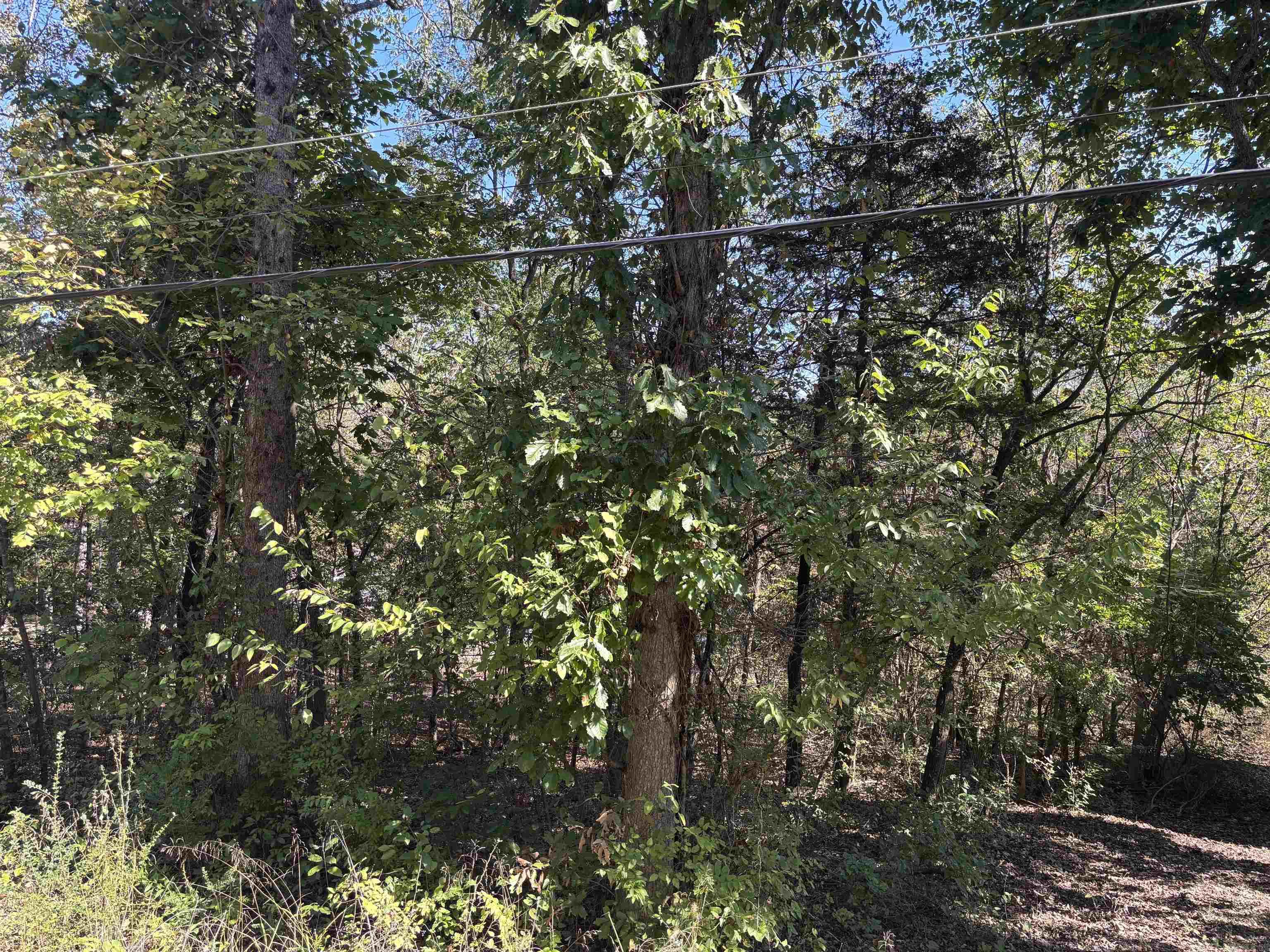 TBD W Lakeshore  Cherokee Village, AR