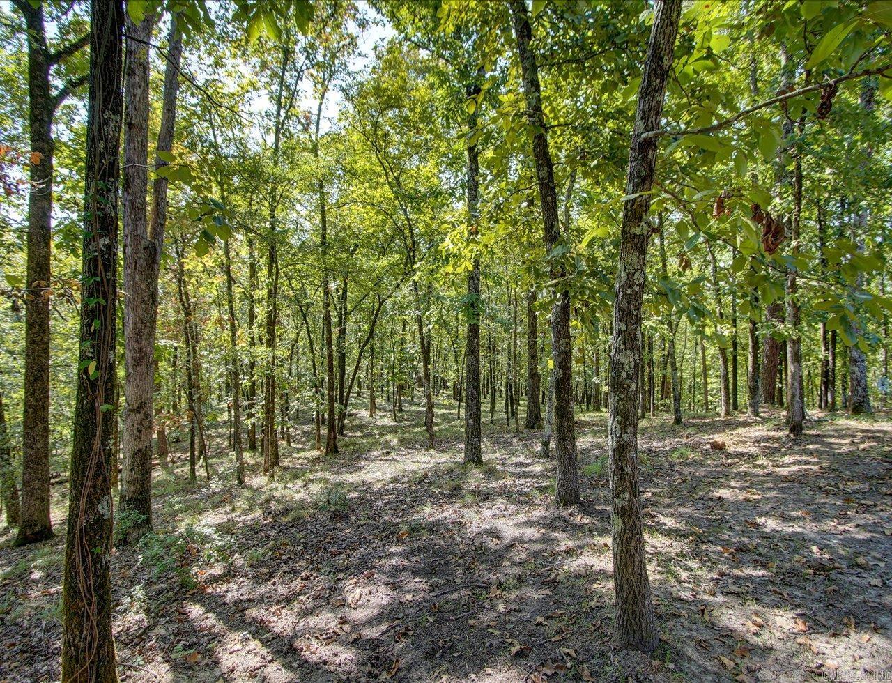 100 St Andrews  Hot Springs, AR