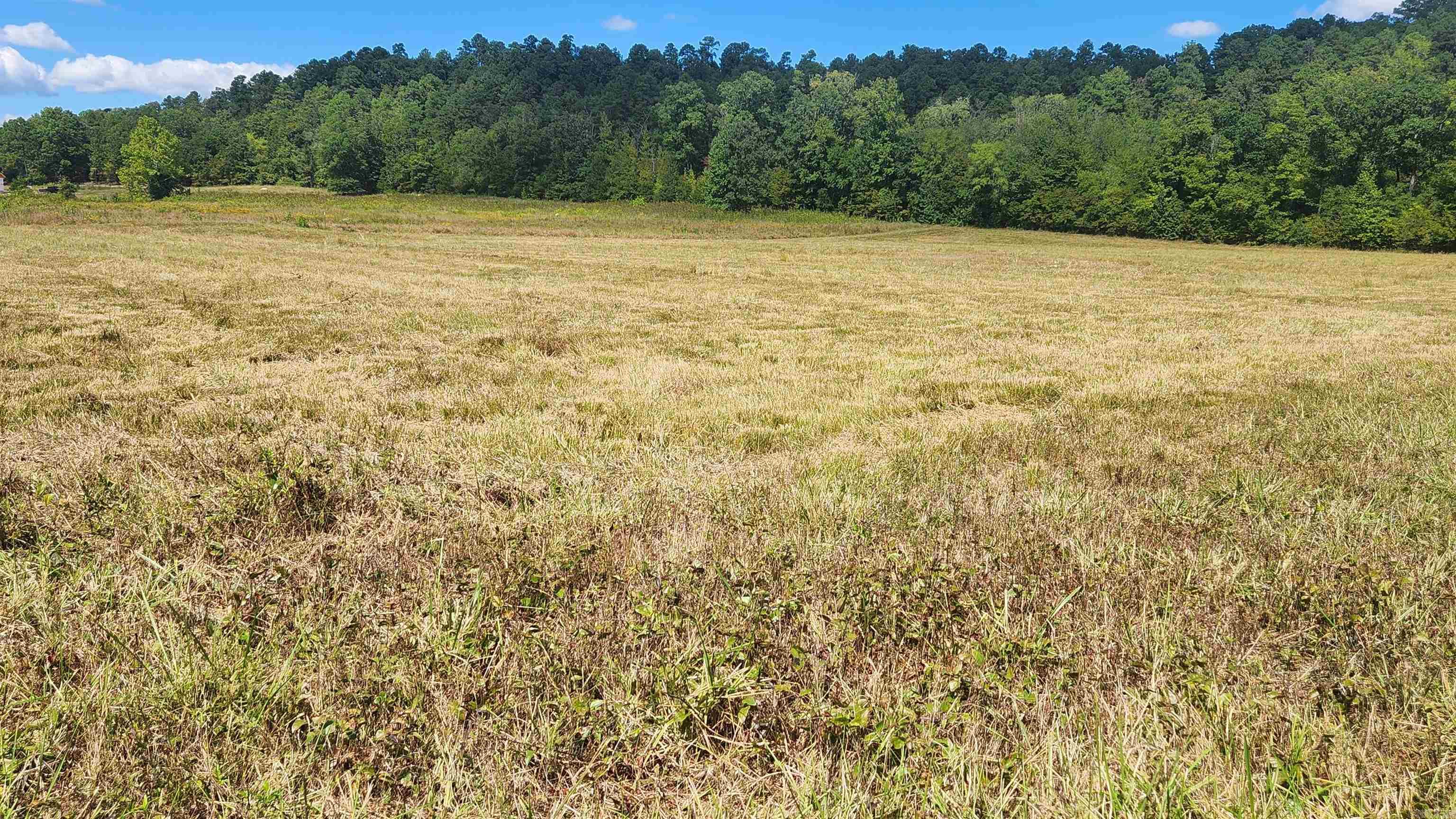 202 (Lot#17) Reva's Way  Story, AR