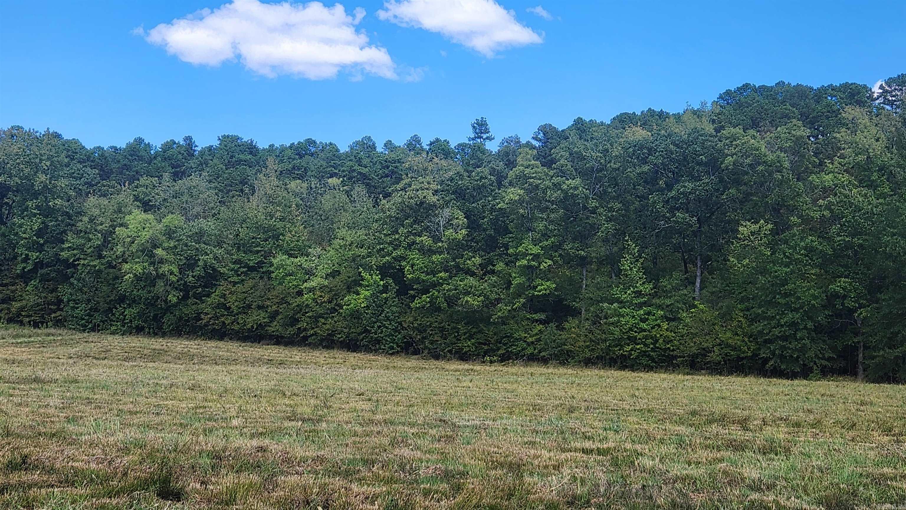 202 (Lot#17) Reva's Way  Story, AR