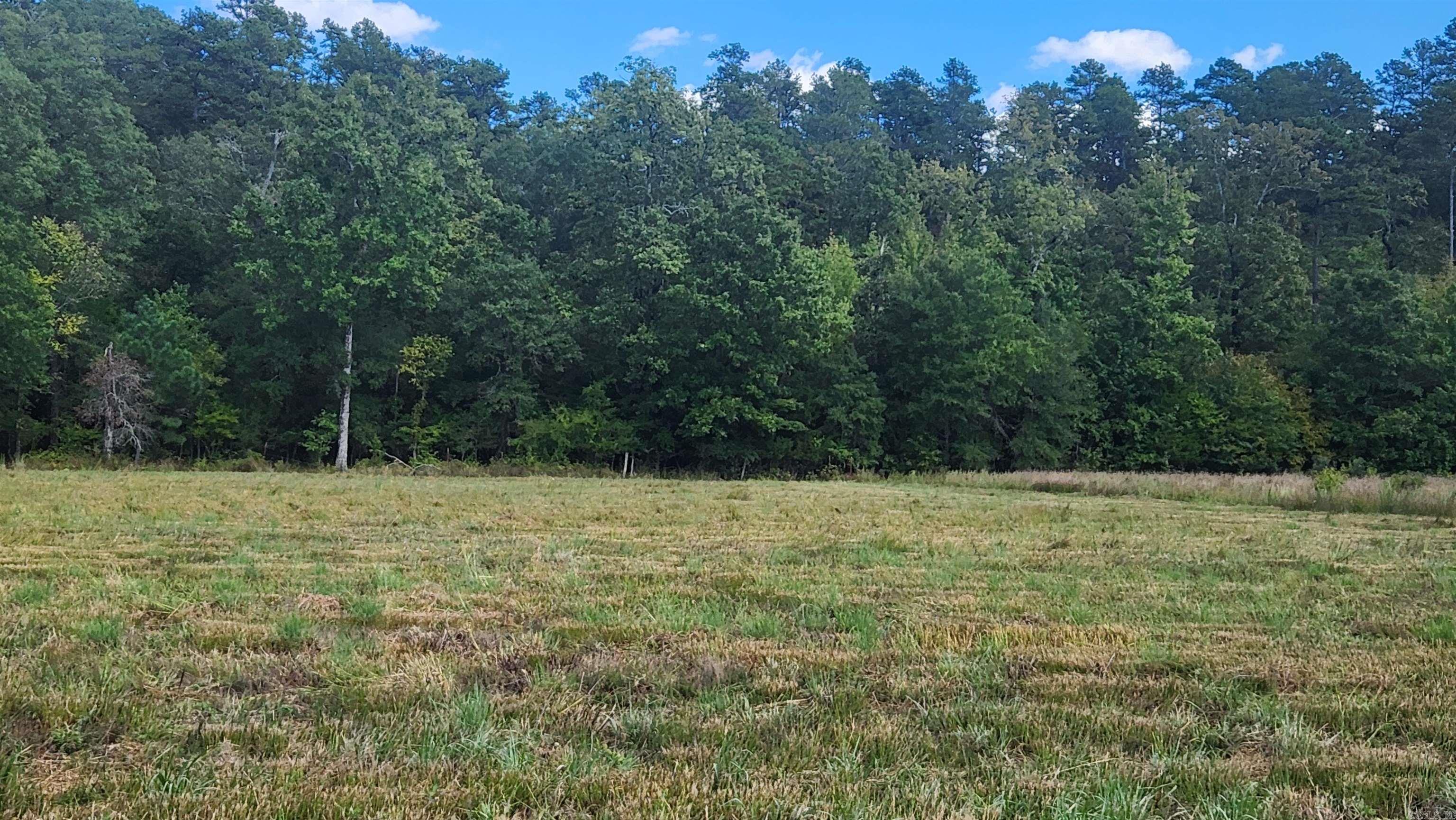 202 (Lot#17) Reva's Way  Story, AR