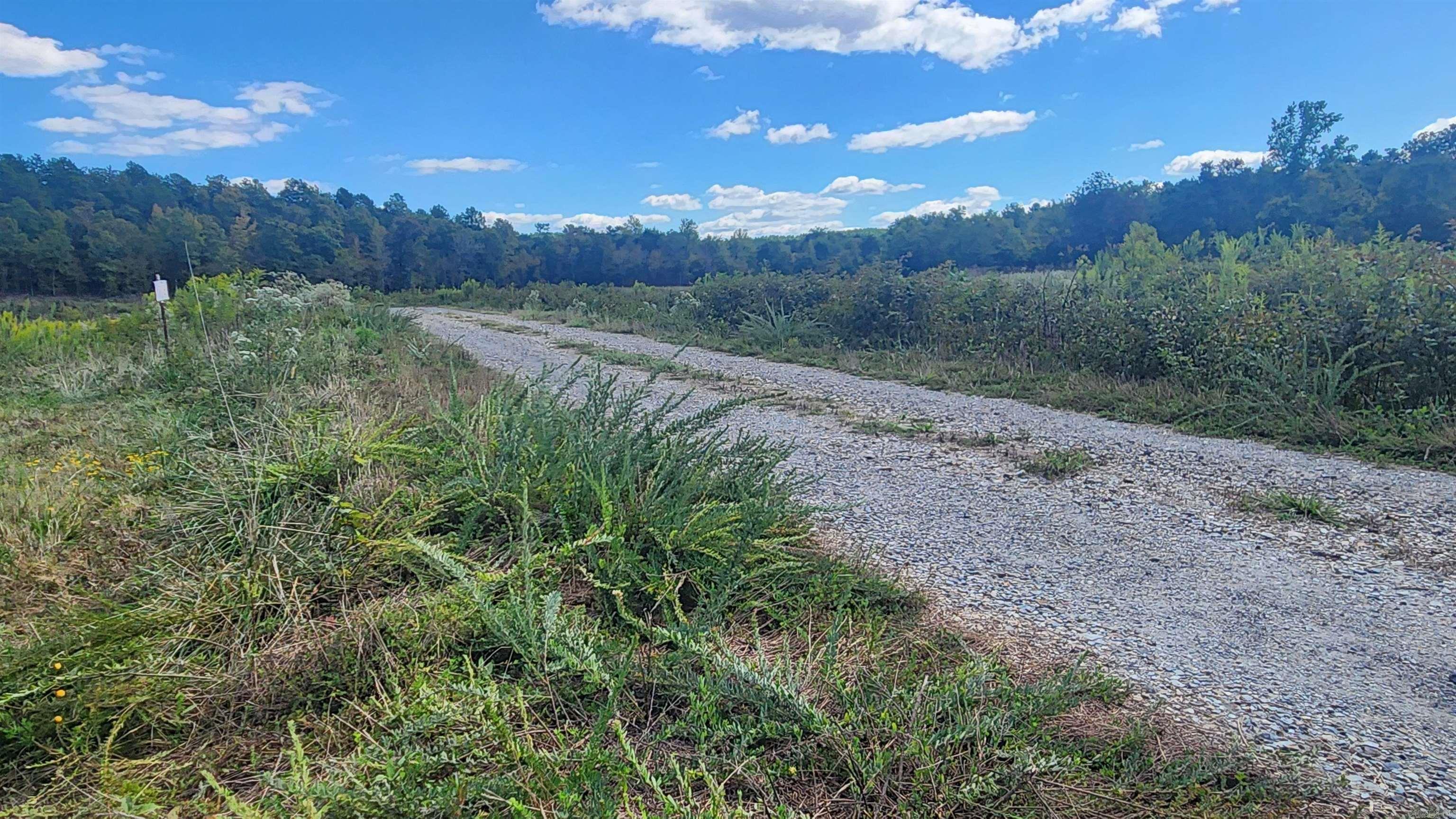 202 (Lot#17) Reva's Way  Story, AR