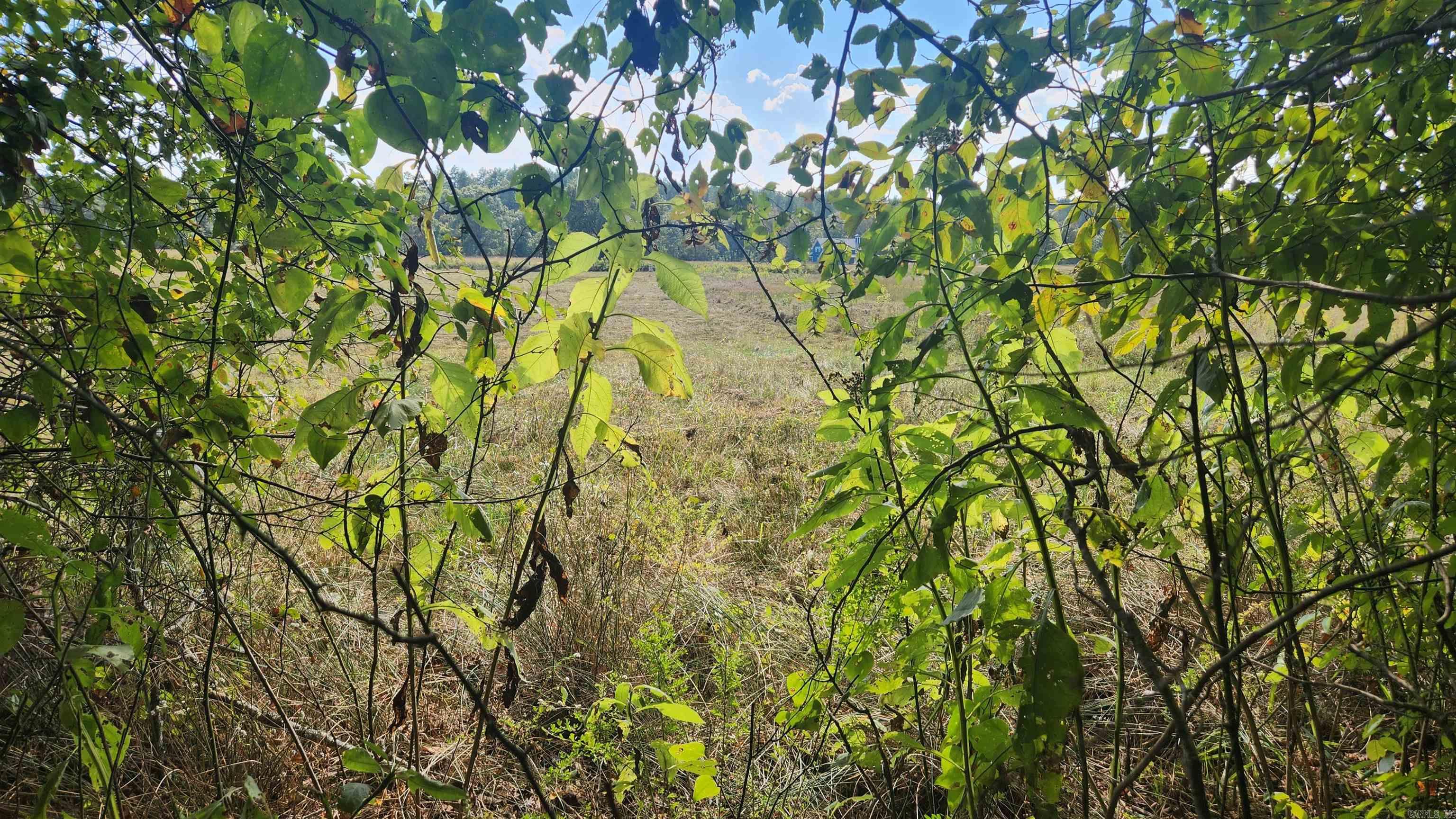 202 (Lot#17) Reva's Way  Story, AR