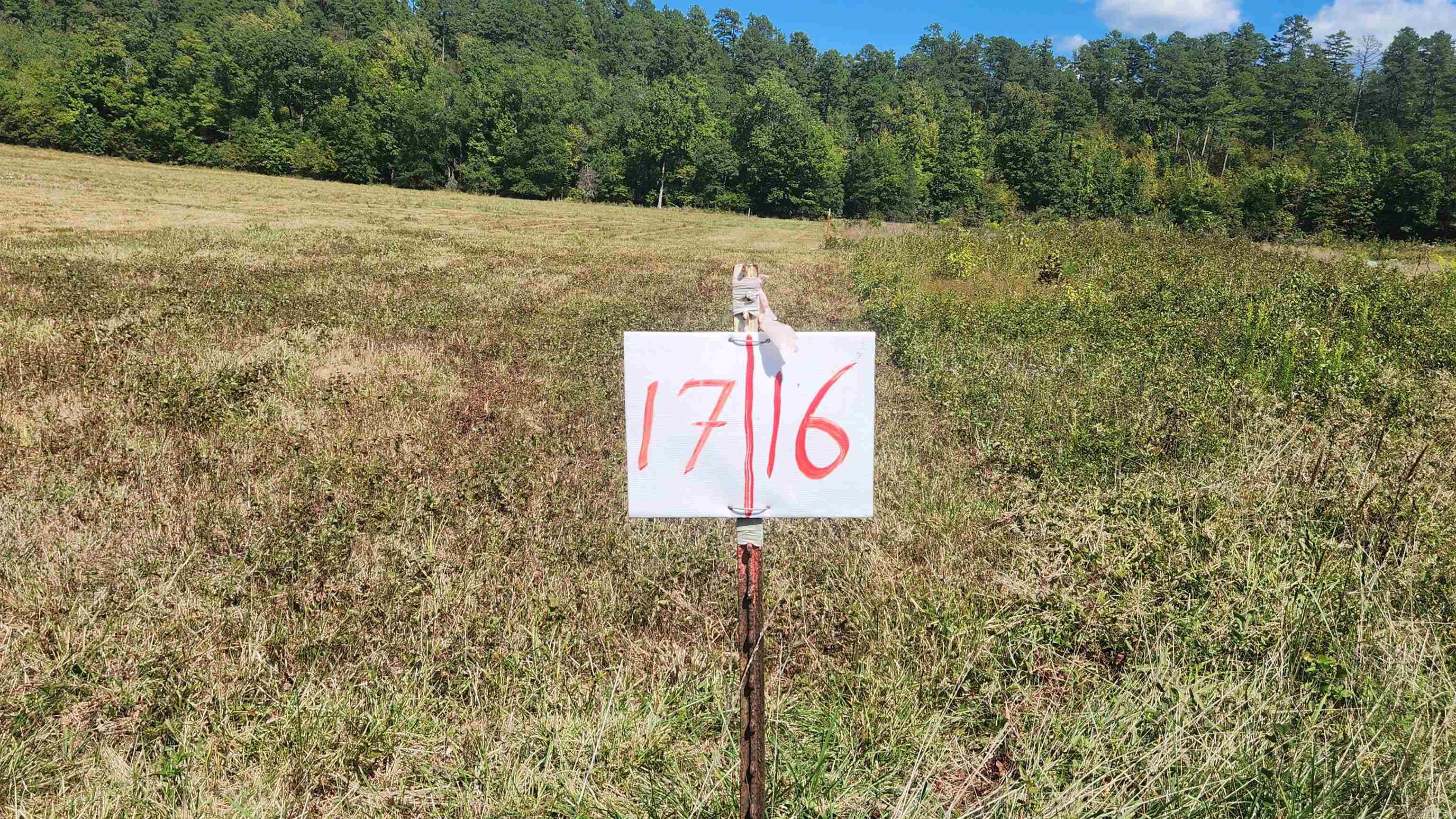 202 (Lot#17) Reva's Way  Story, AR