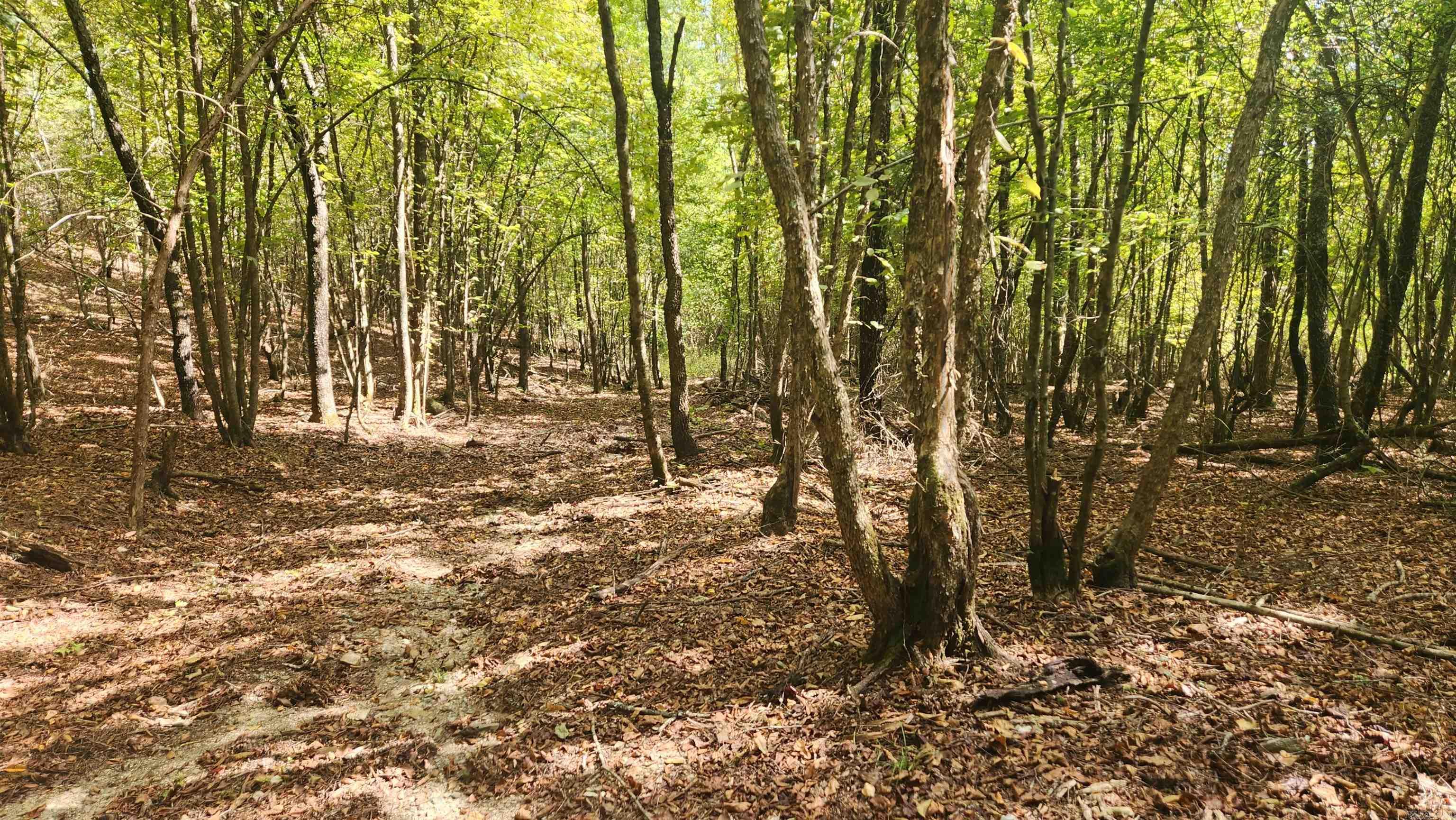 202 (Lot#17) Reva's Way  Story, AR