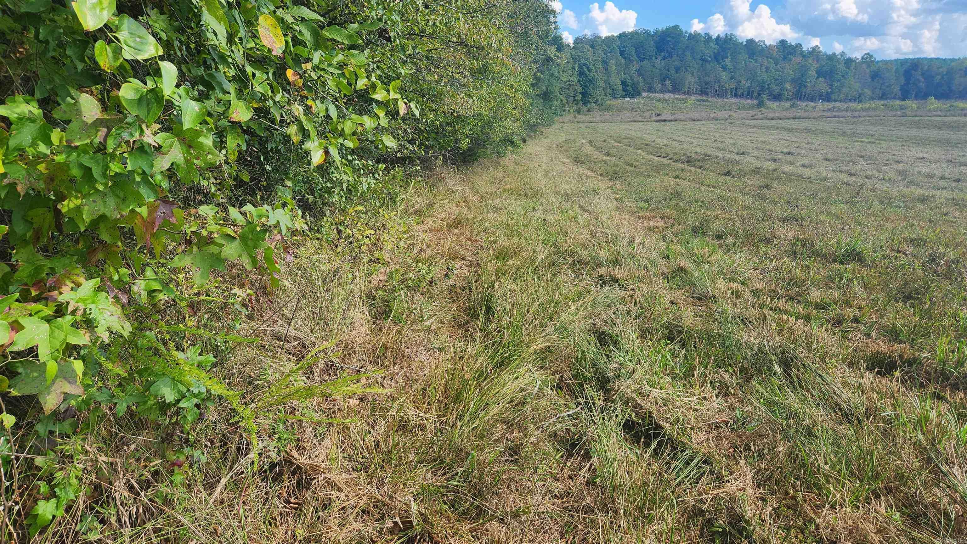 202 (Lot#17) Reva's Way  Story, AR