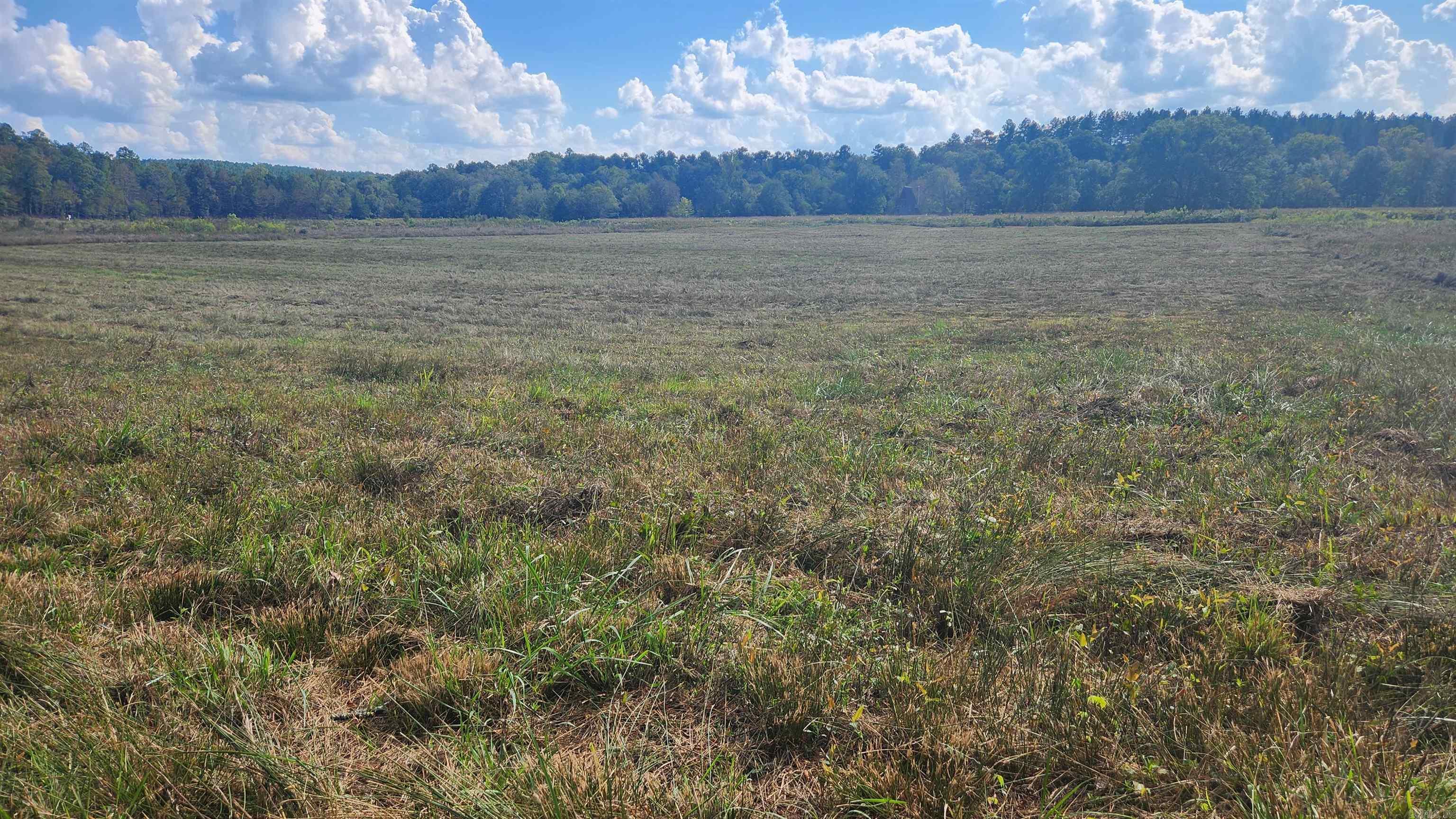 202 (Lot#17) Reva's Way  Story, AR