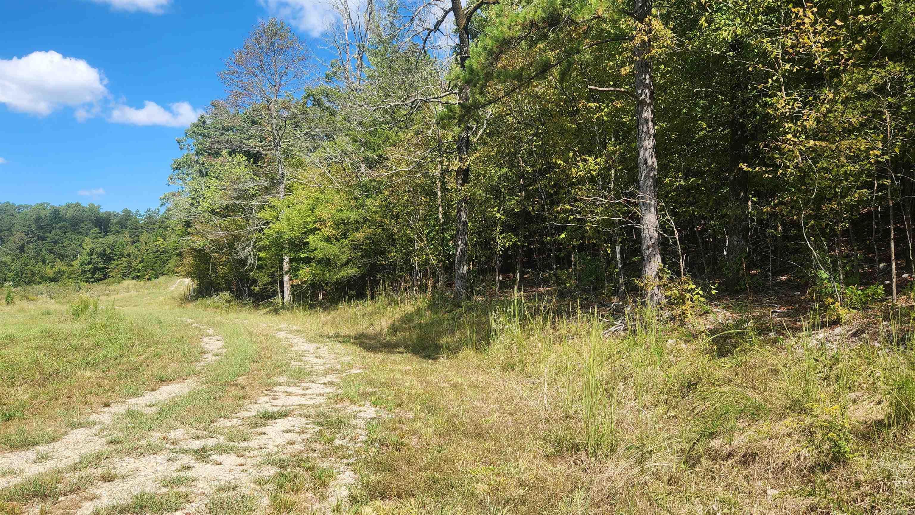 224 (Lot#15N) Reva's Way  Story, AR