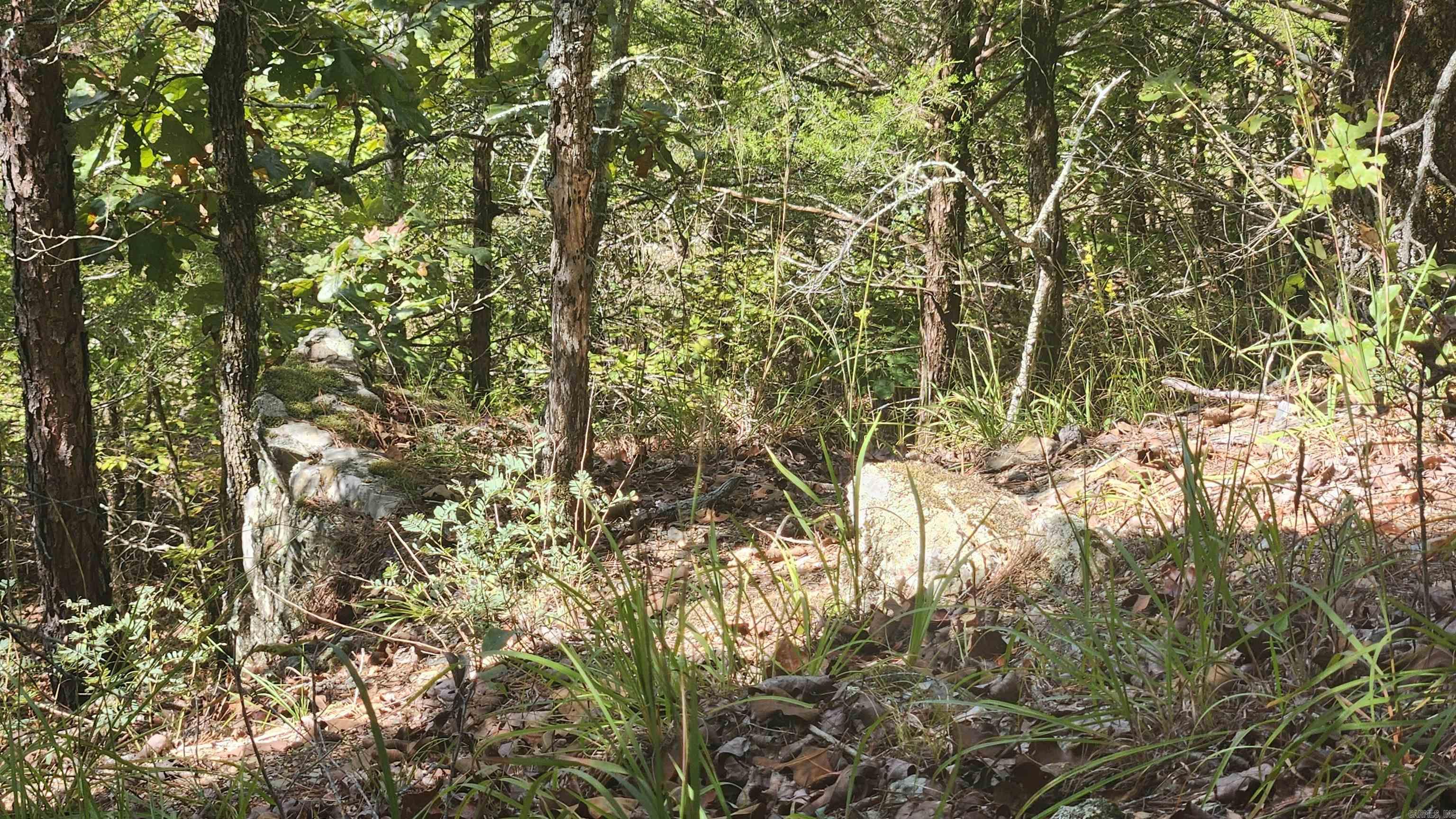 224 (Lot#15N) Reva's Way  Story, AR