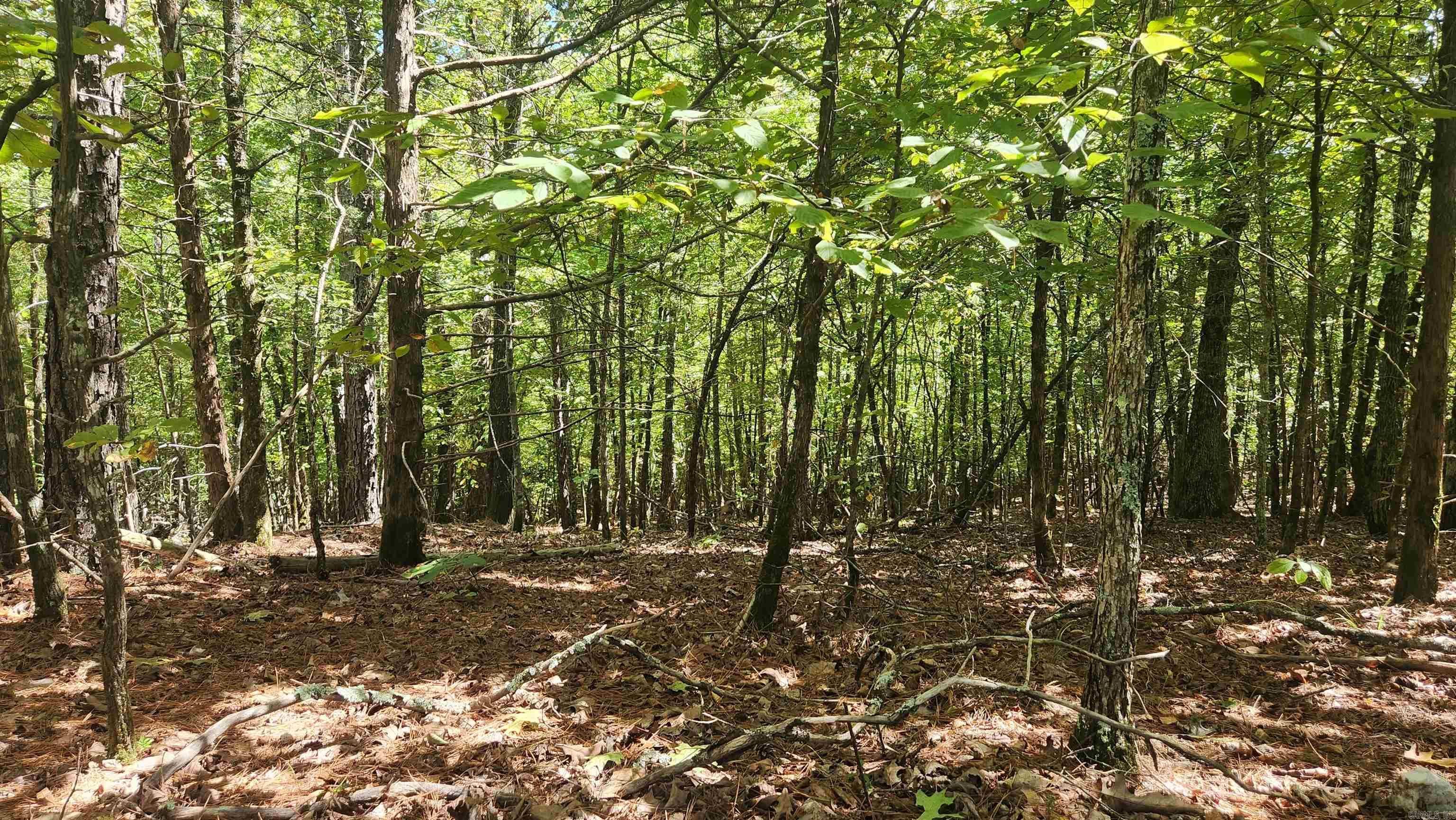 224 (Lot#15N) Reva's Way  Story, AR