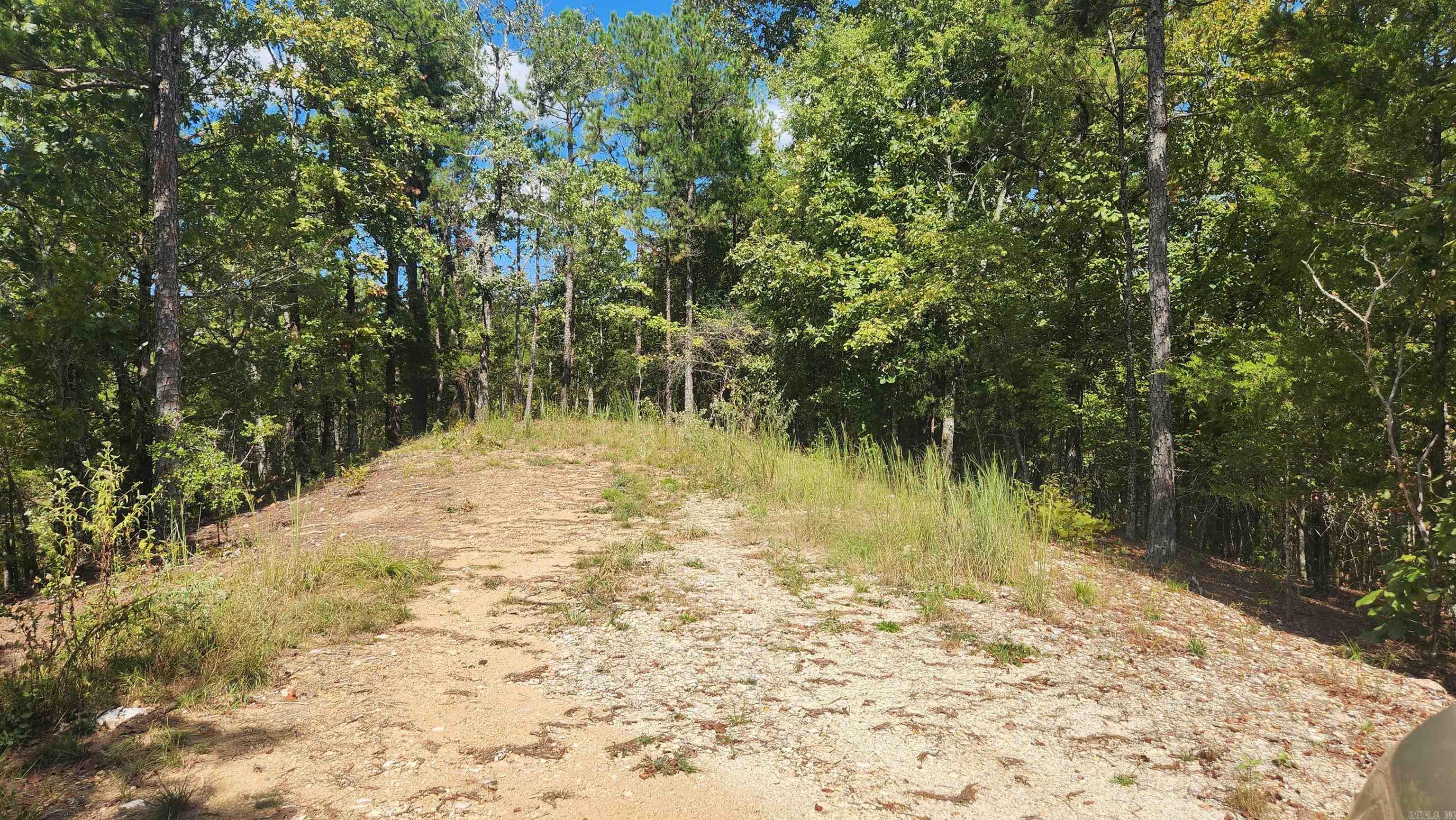 224 (Lot#15N) Reva's Way  Story, AR