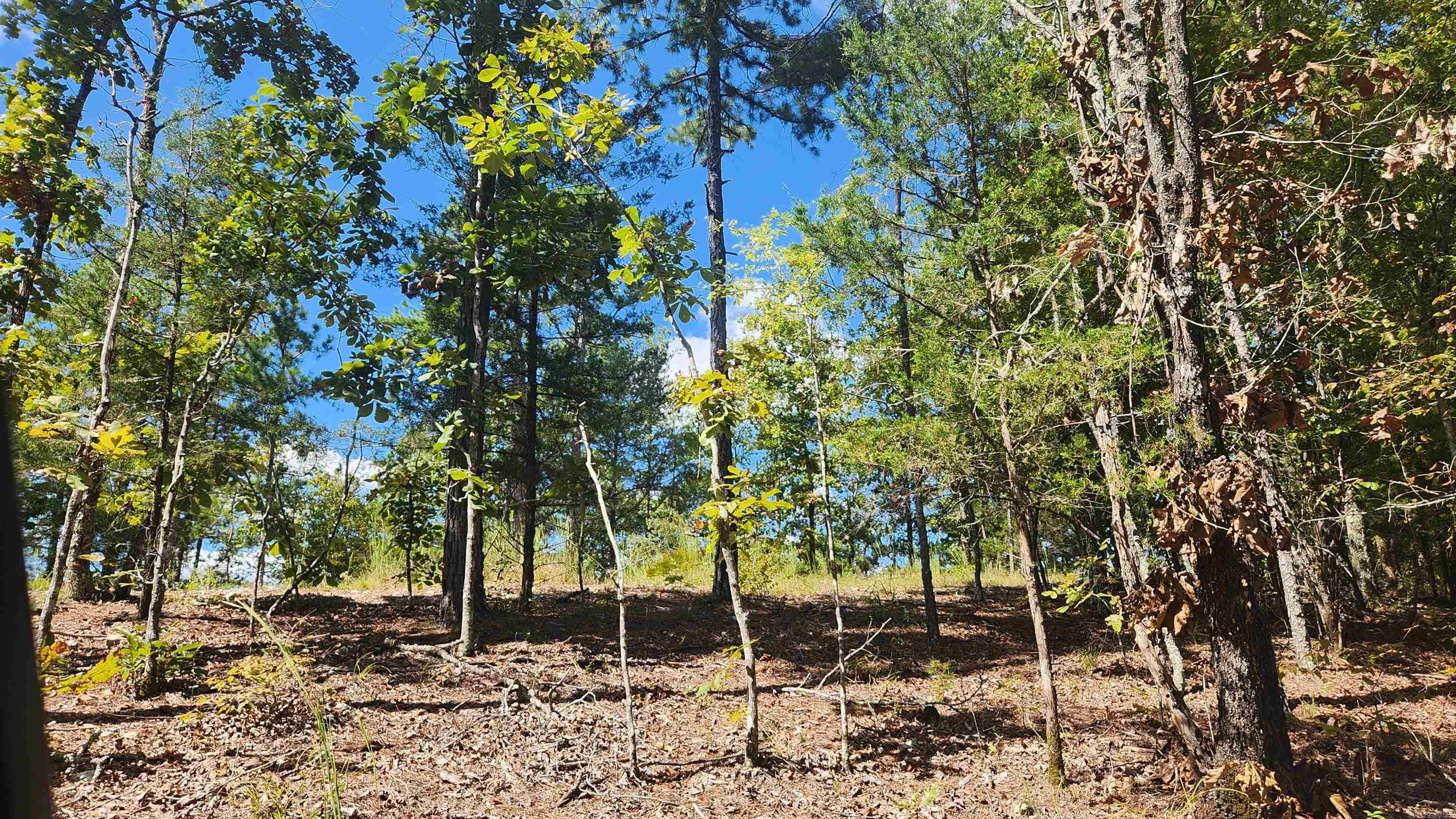 224 (Lot#15N) Reva's Way  Story, AR