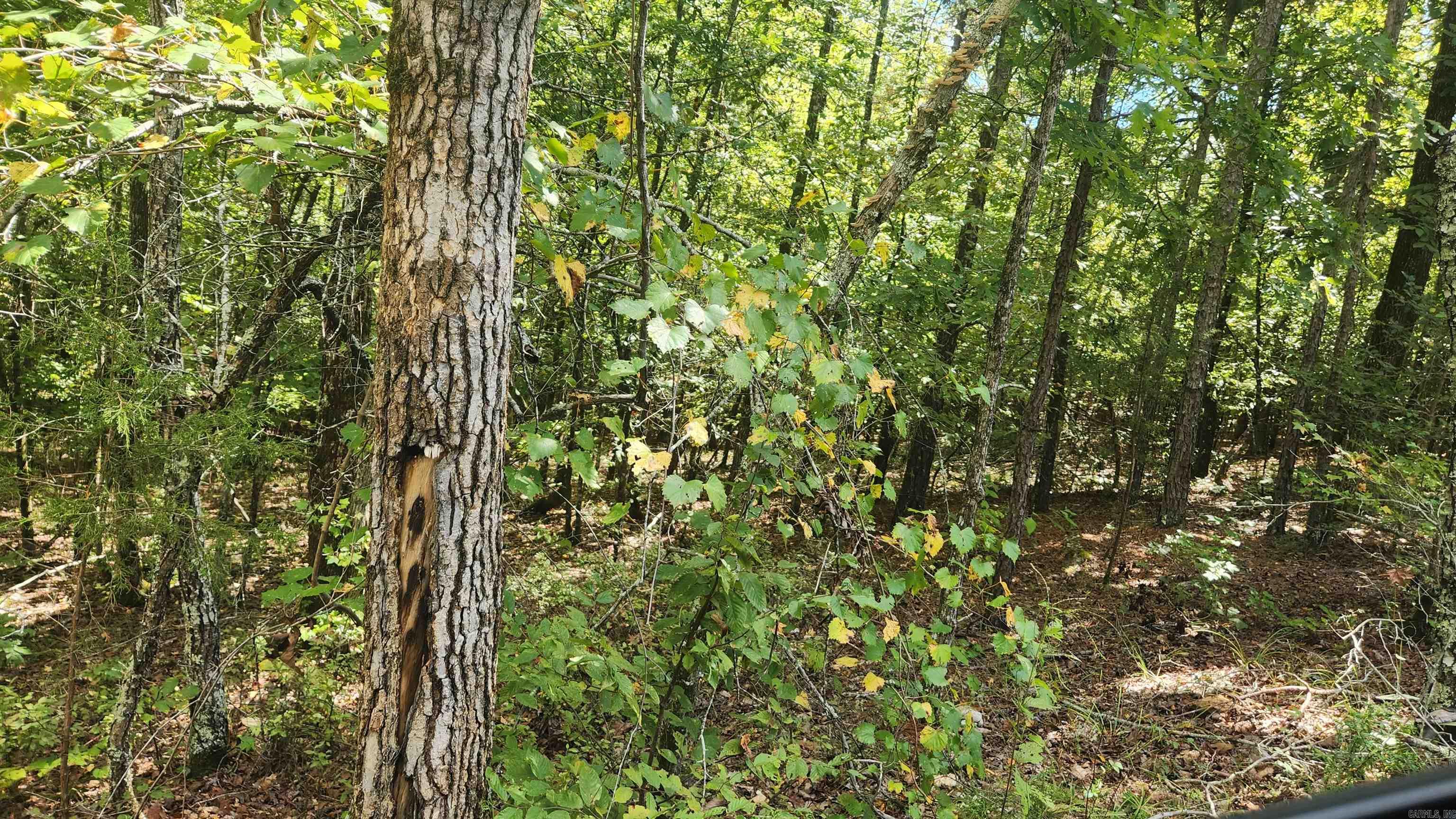 224 (Lot#15N) Reva's Way  Story, AR