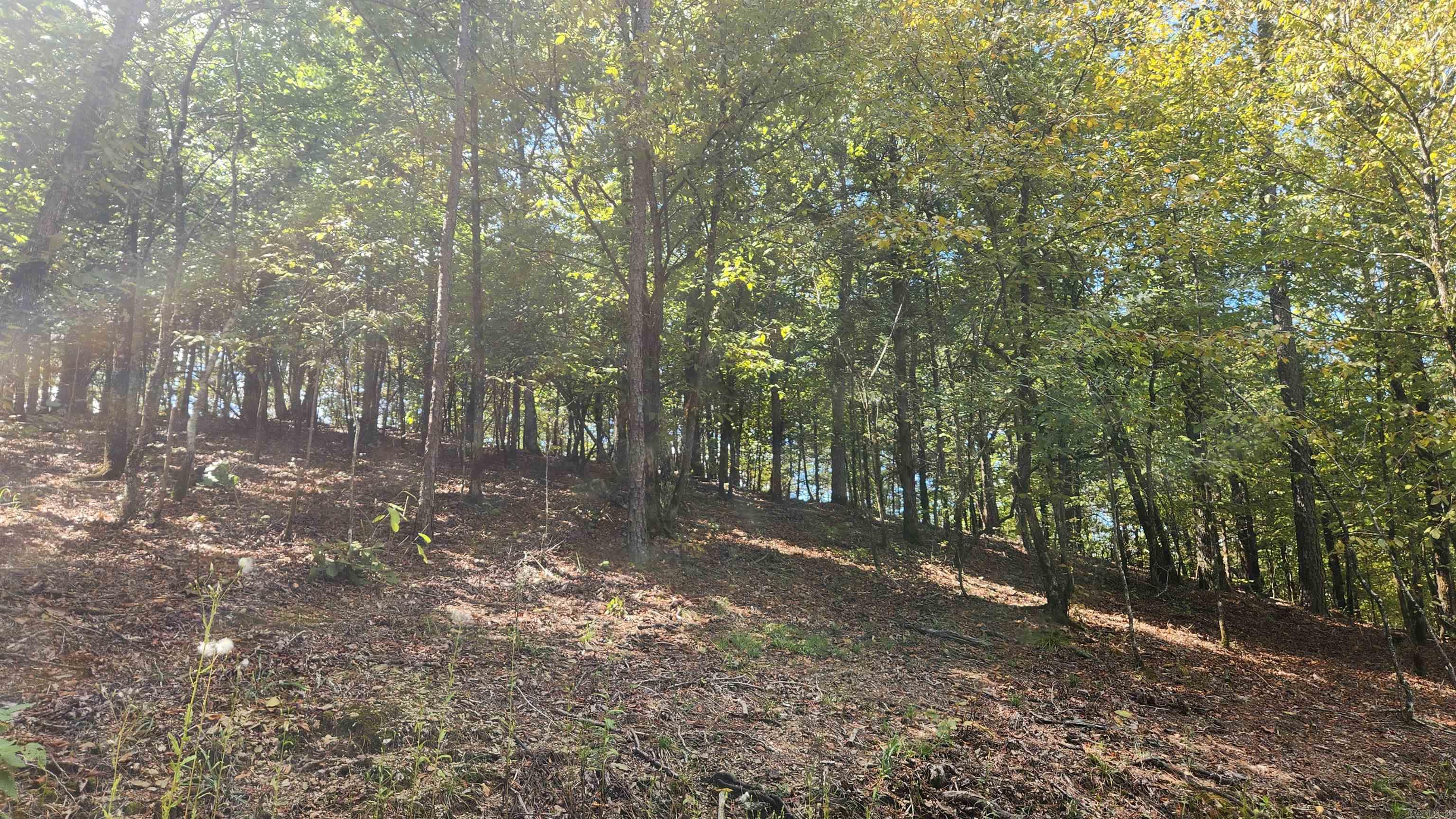 224 (Lot#15N) Reva's Way  Story, AR