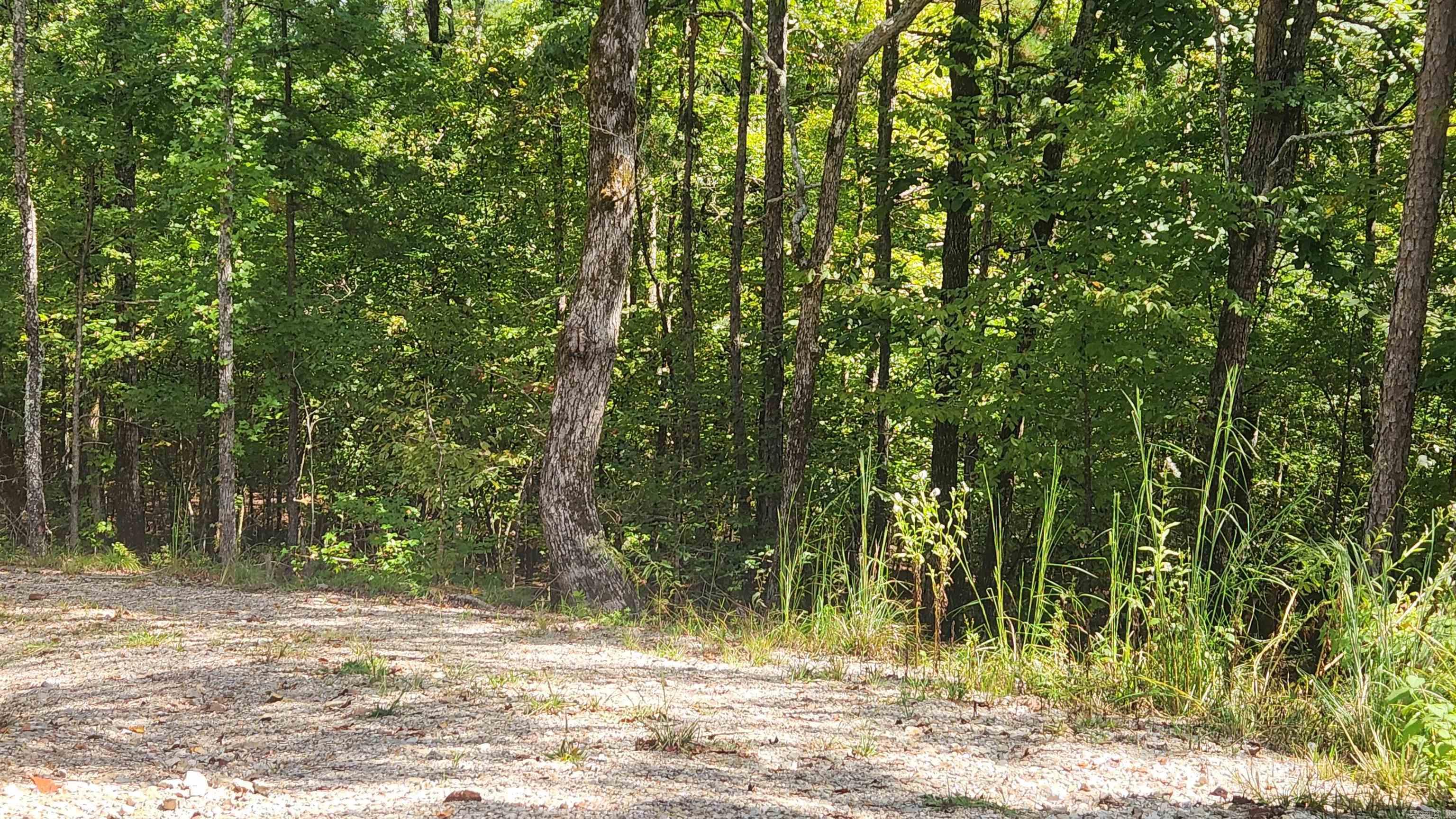 224 (Lot#15N) Reva's Way  Story, AR