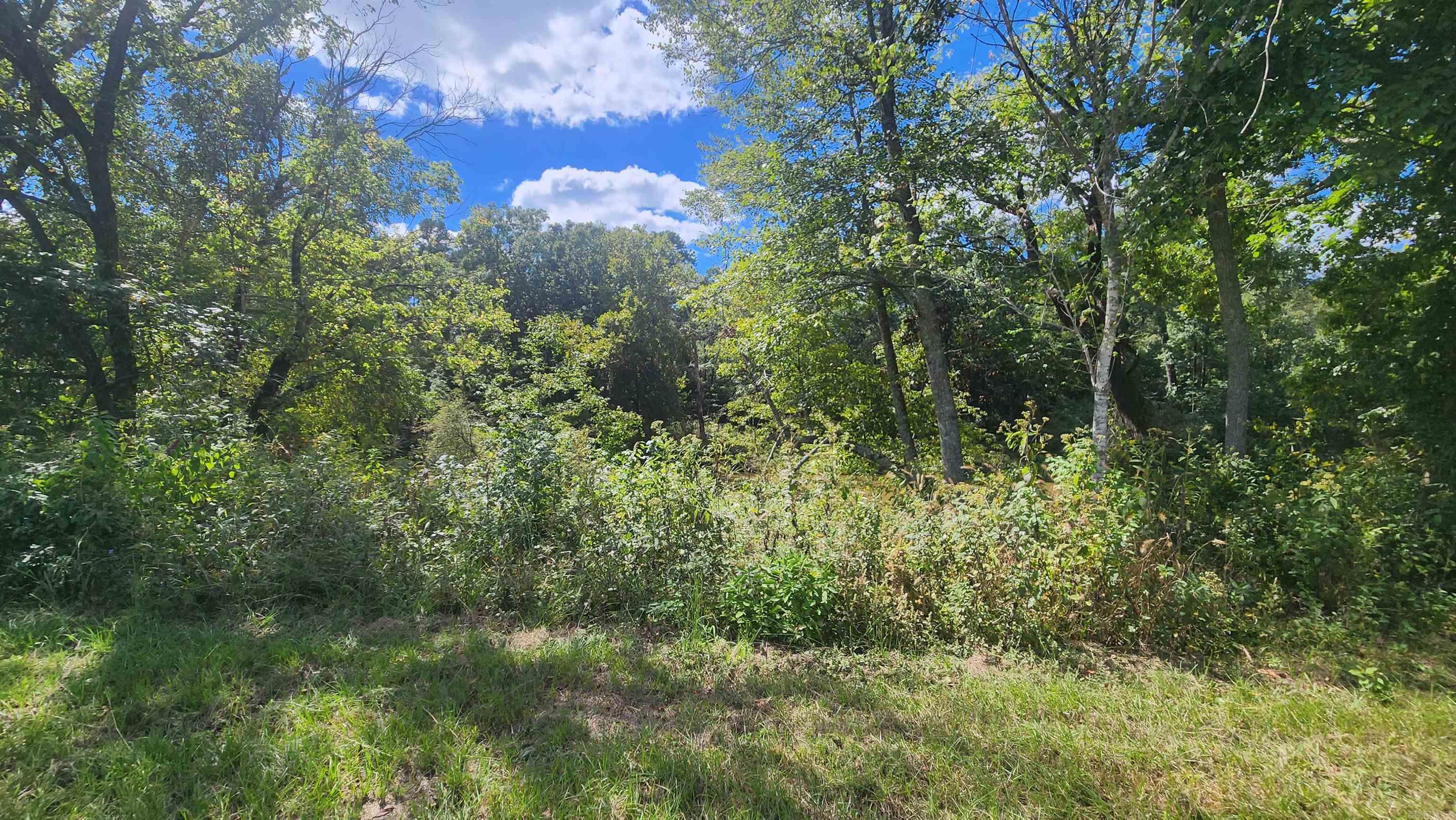 239 (Lot#14E) Reva's Way  Story, AR