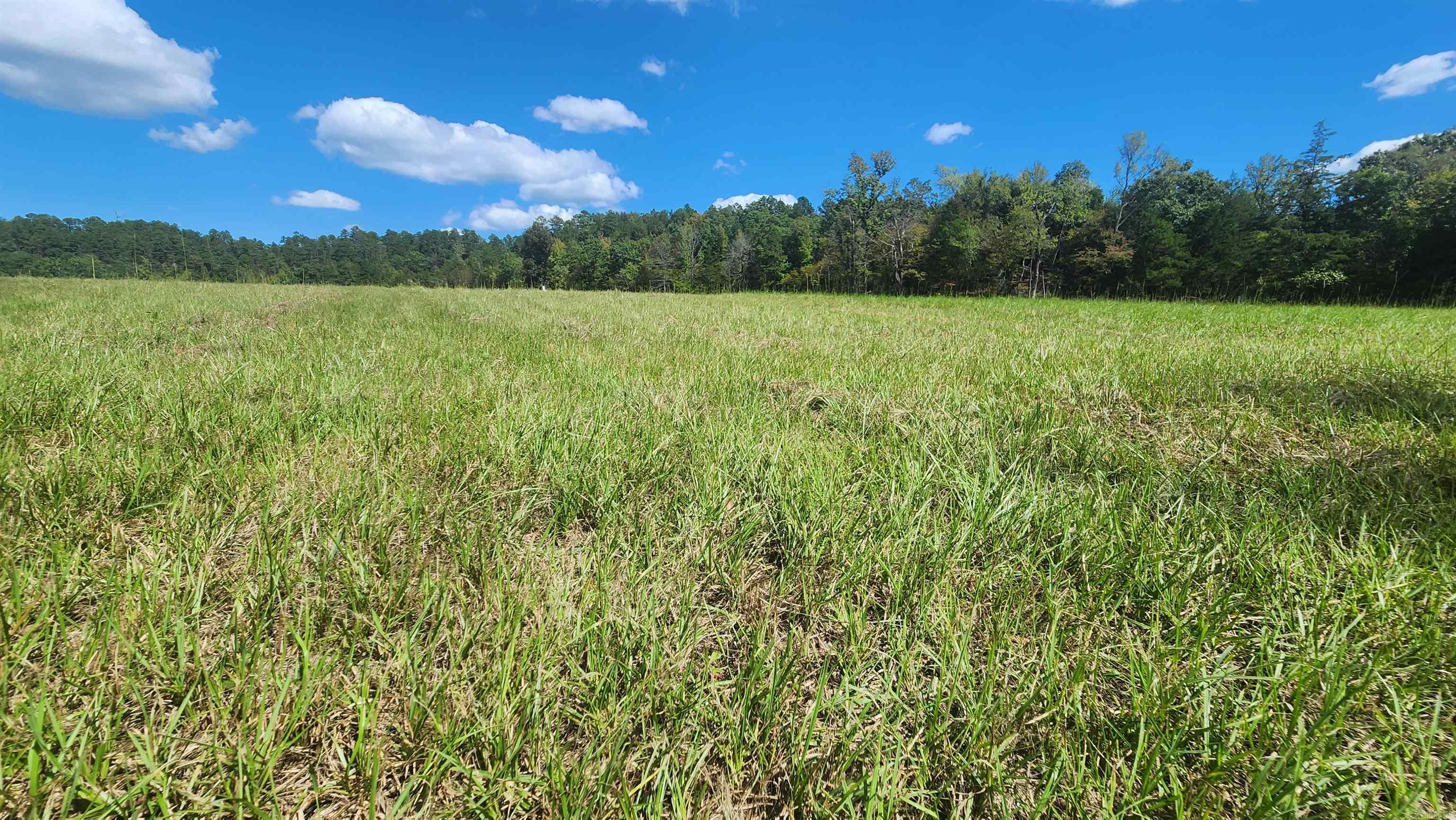 239 (Lot#14E) Reva's Way  Story, AR