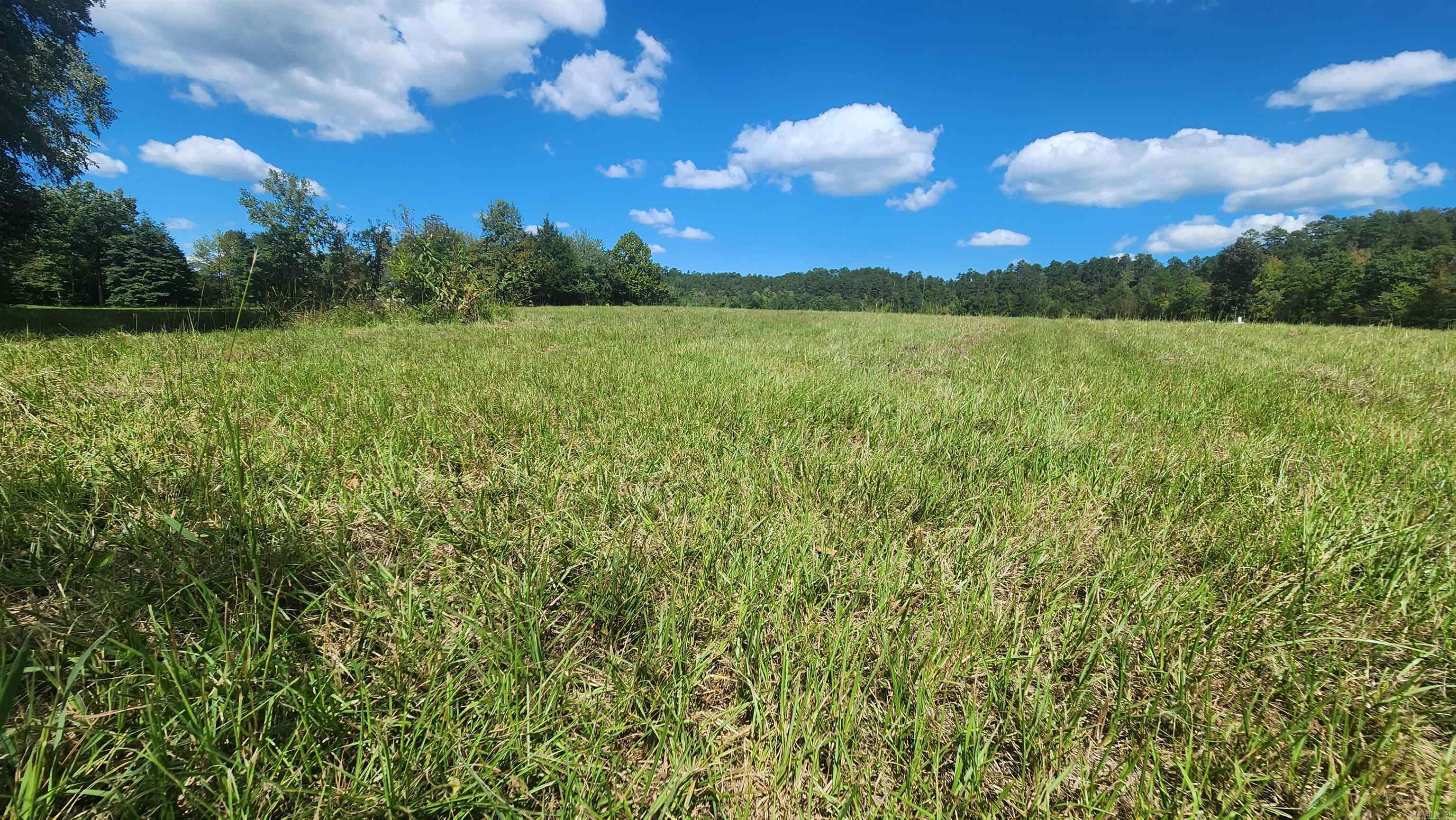 239 (Lot#14E) Reva's Way  Story, AR