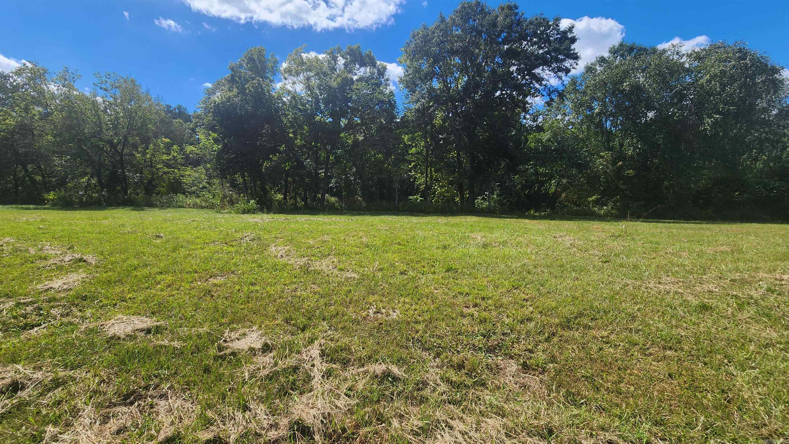 239 (Lot#14E) Reva's Way  Story, AR