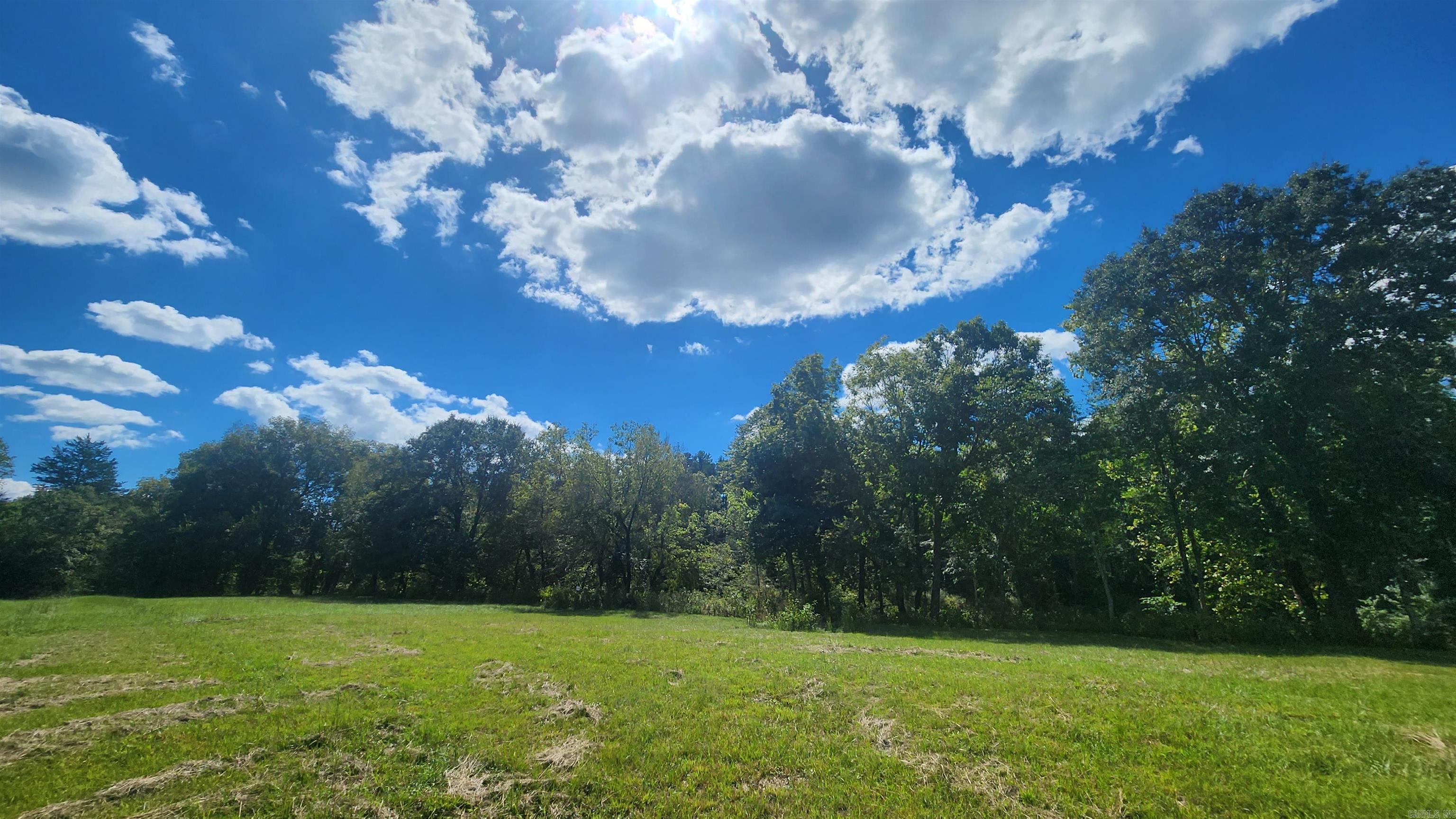 239 (Lot#14E) Reva's Way  Story, AR