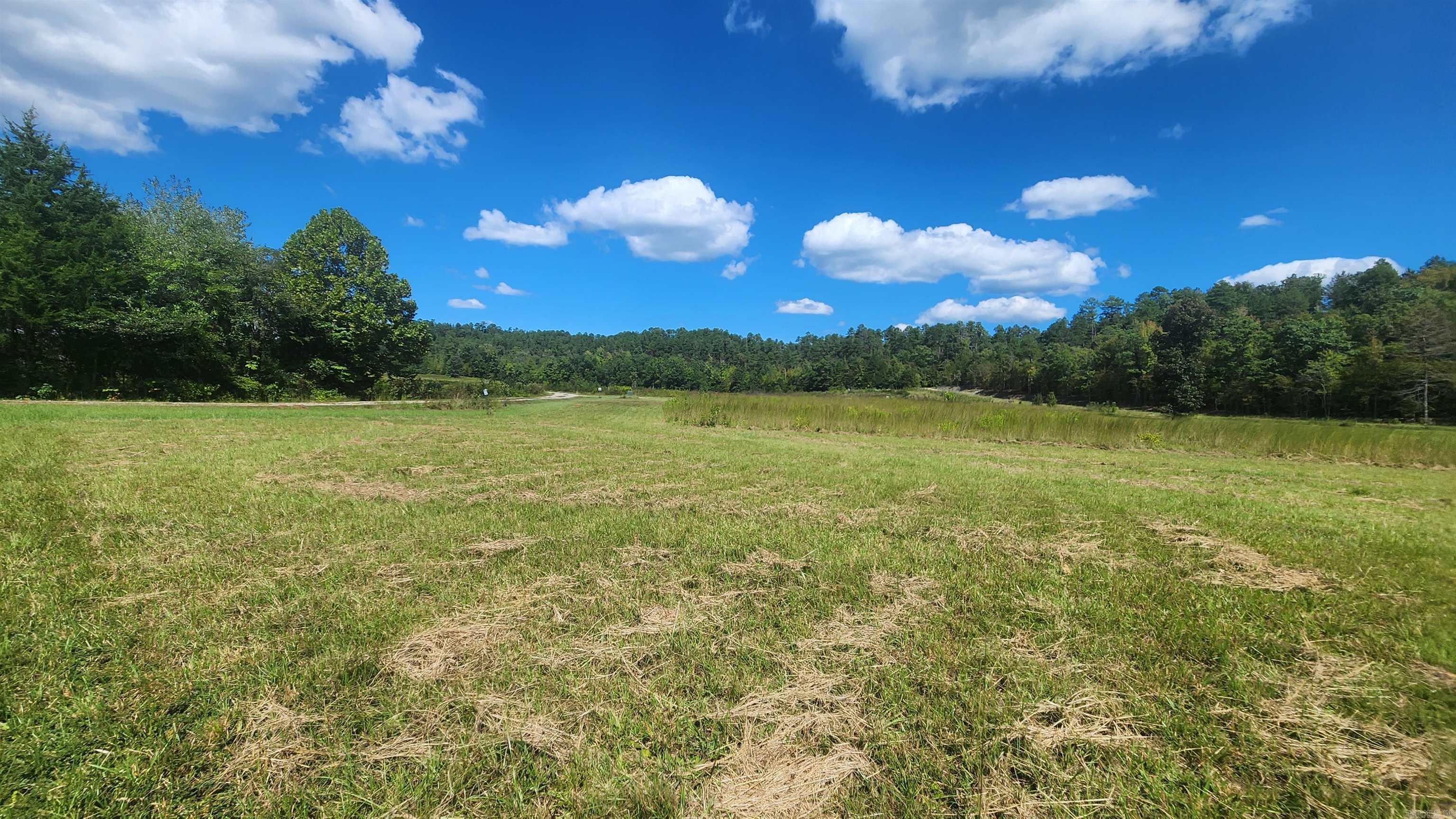 239 (Lot#14E) Reva's Way  Story, AR