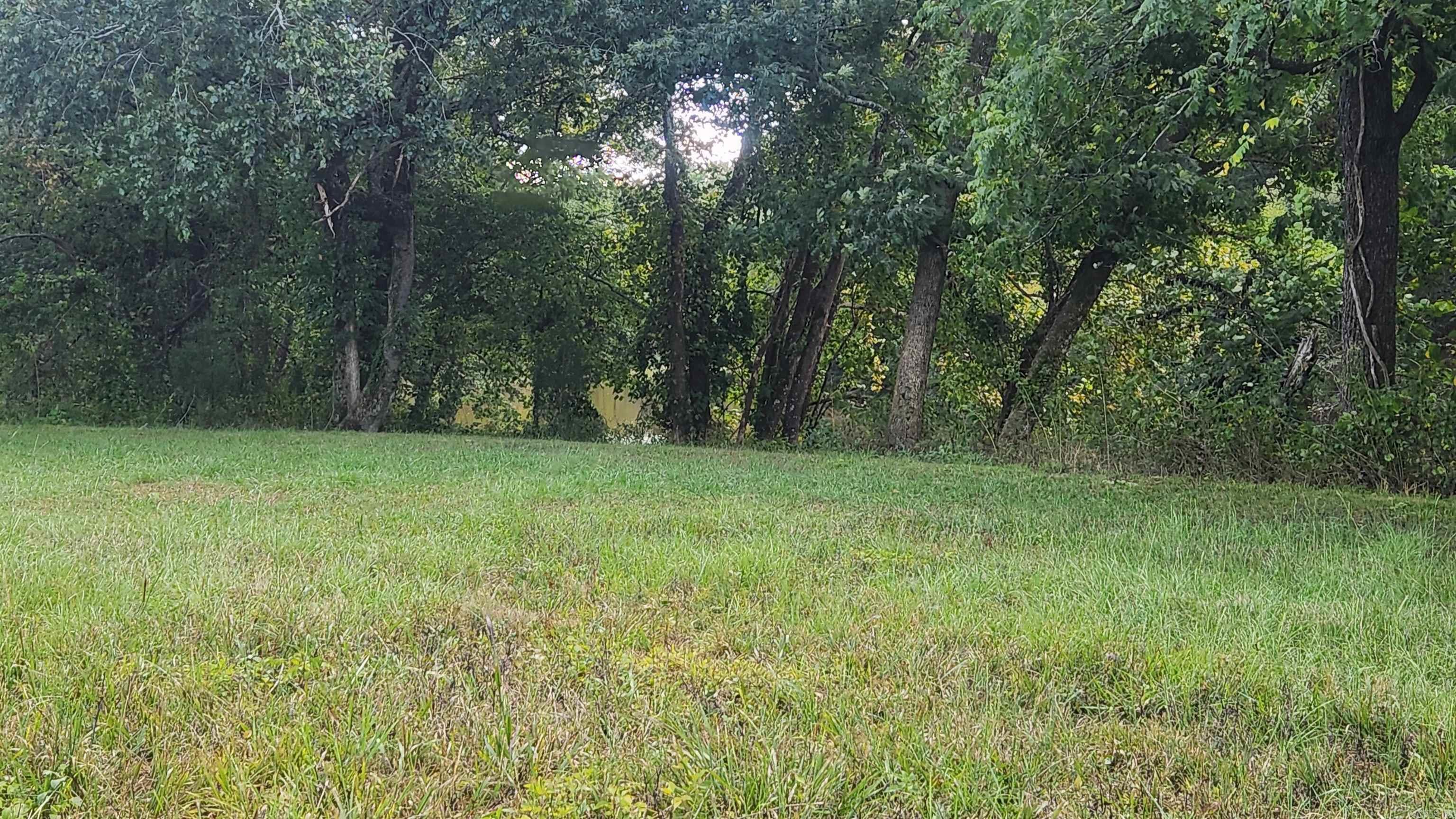 239 (Lot#14E) Reva's Way  Story, AR