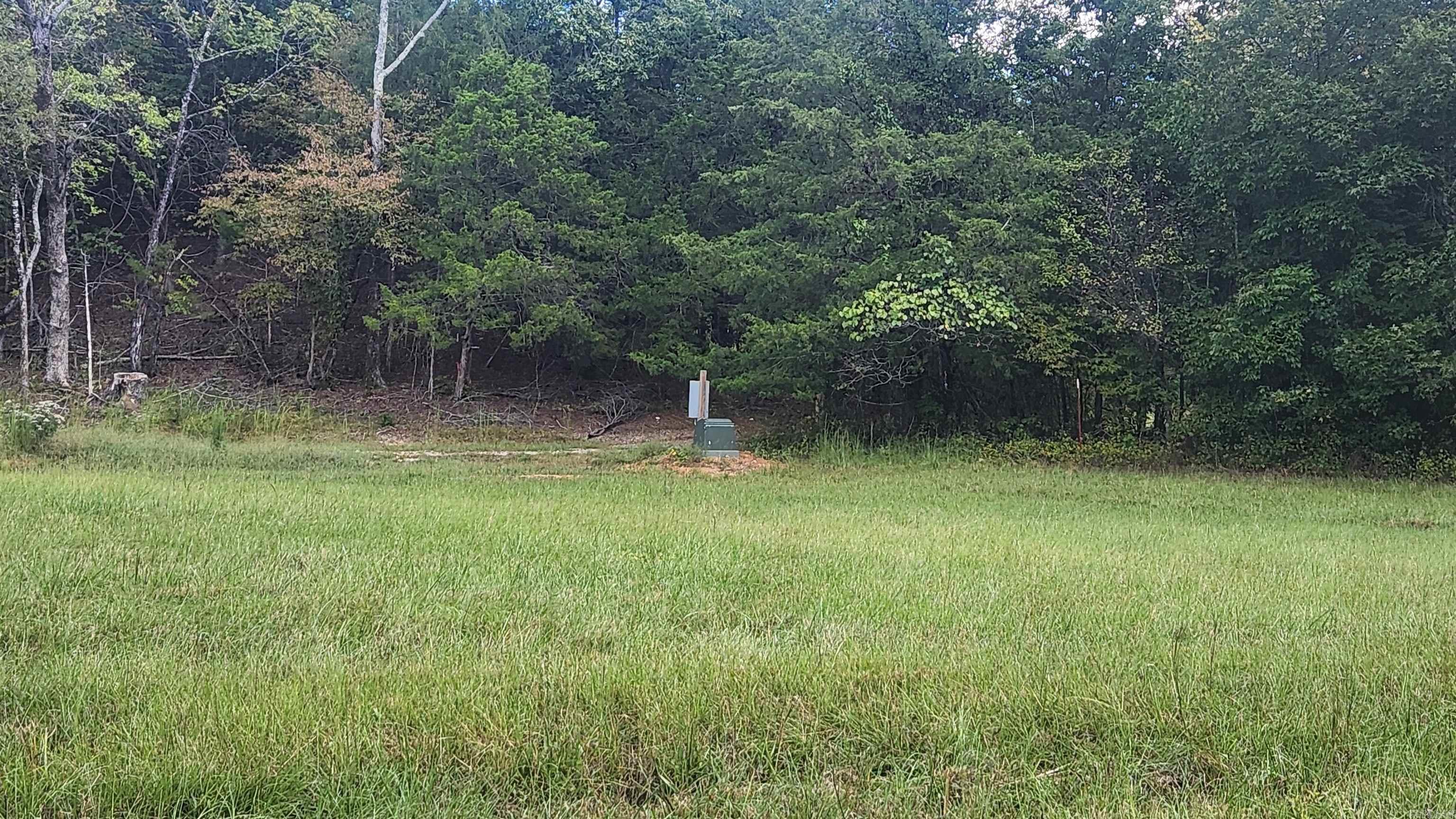 239 (Lot#14E) Reva's Way  Story, AR