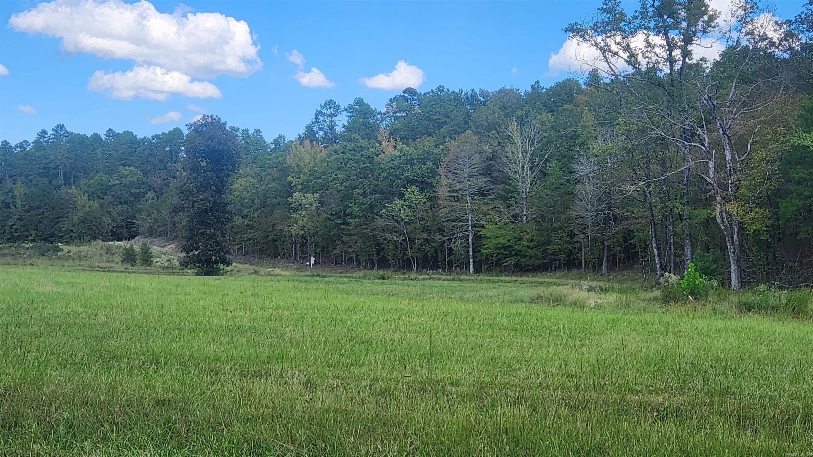 239 (Lot#14E) Reva's Way  Story, AR