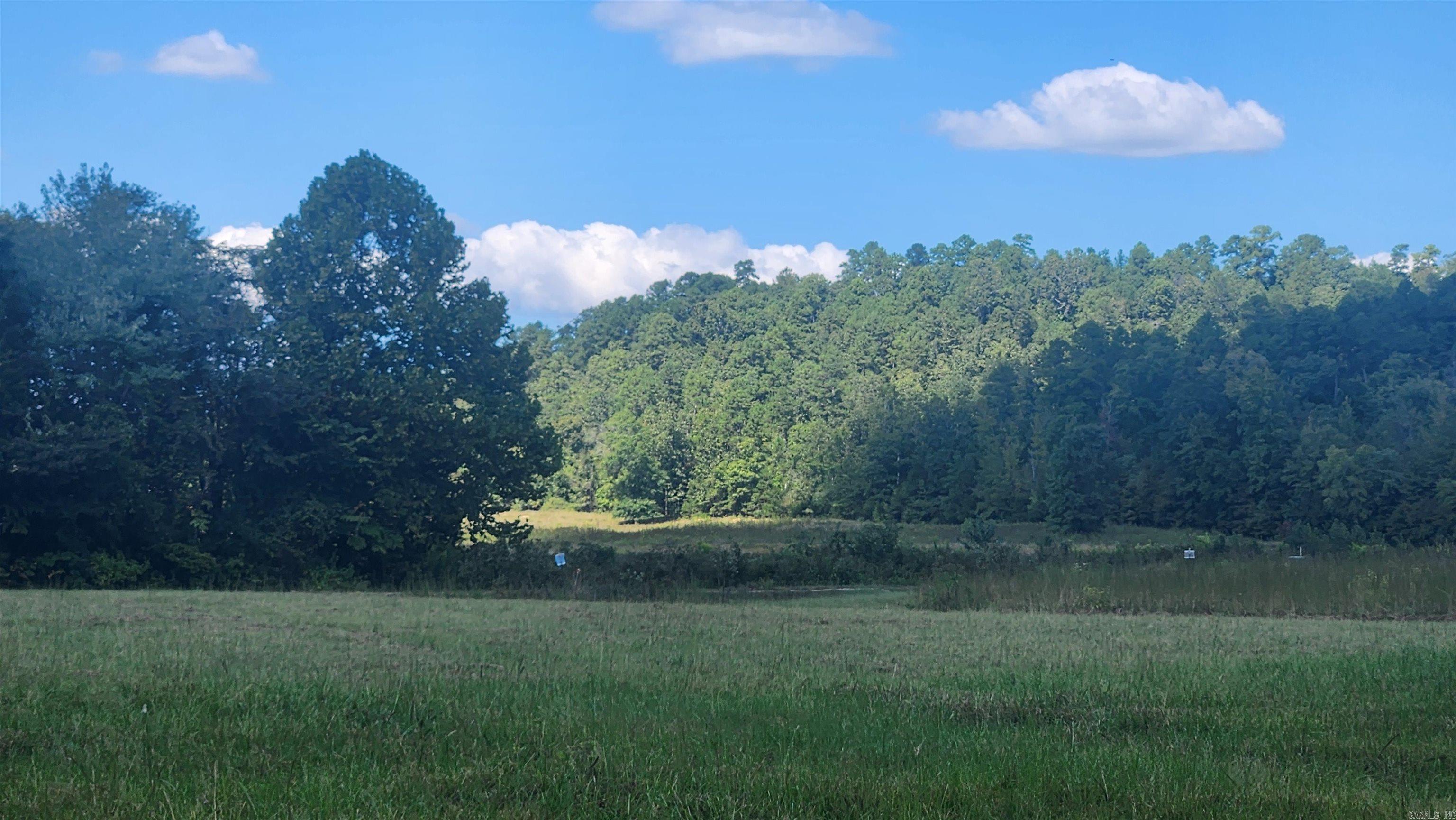 239 (Lot#14E) Reva's Way  Story, AR