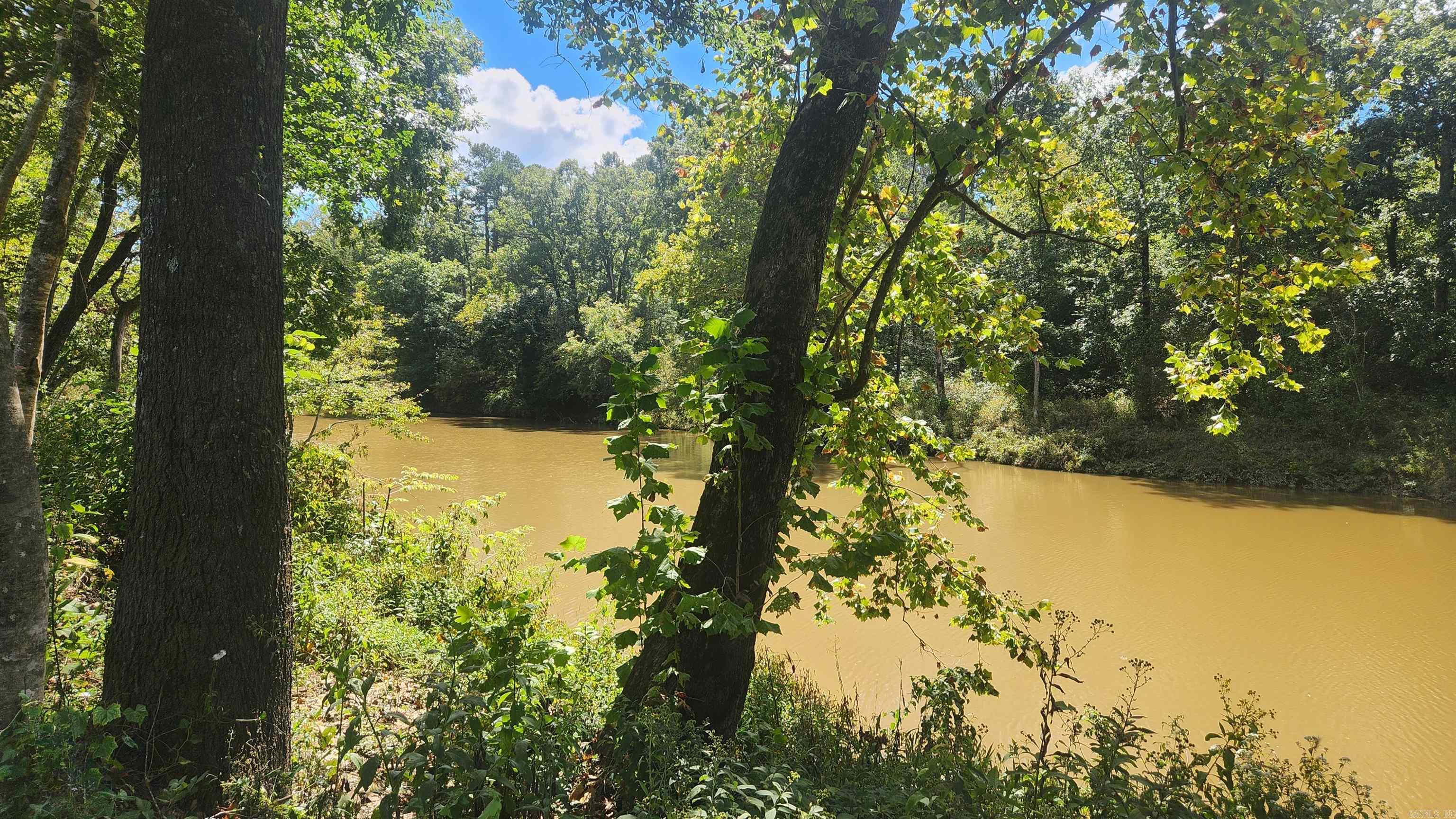 239 (Lot#14E) Reva's Way  Story, AR