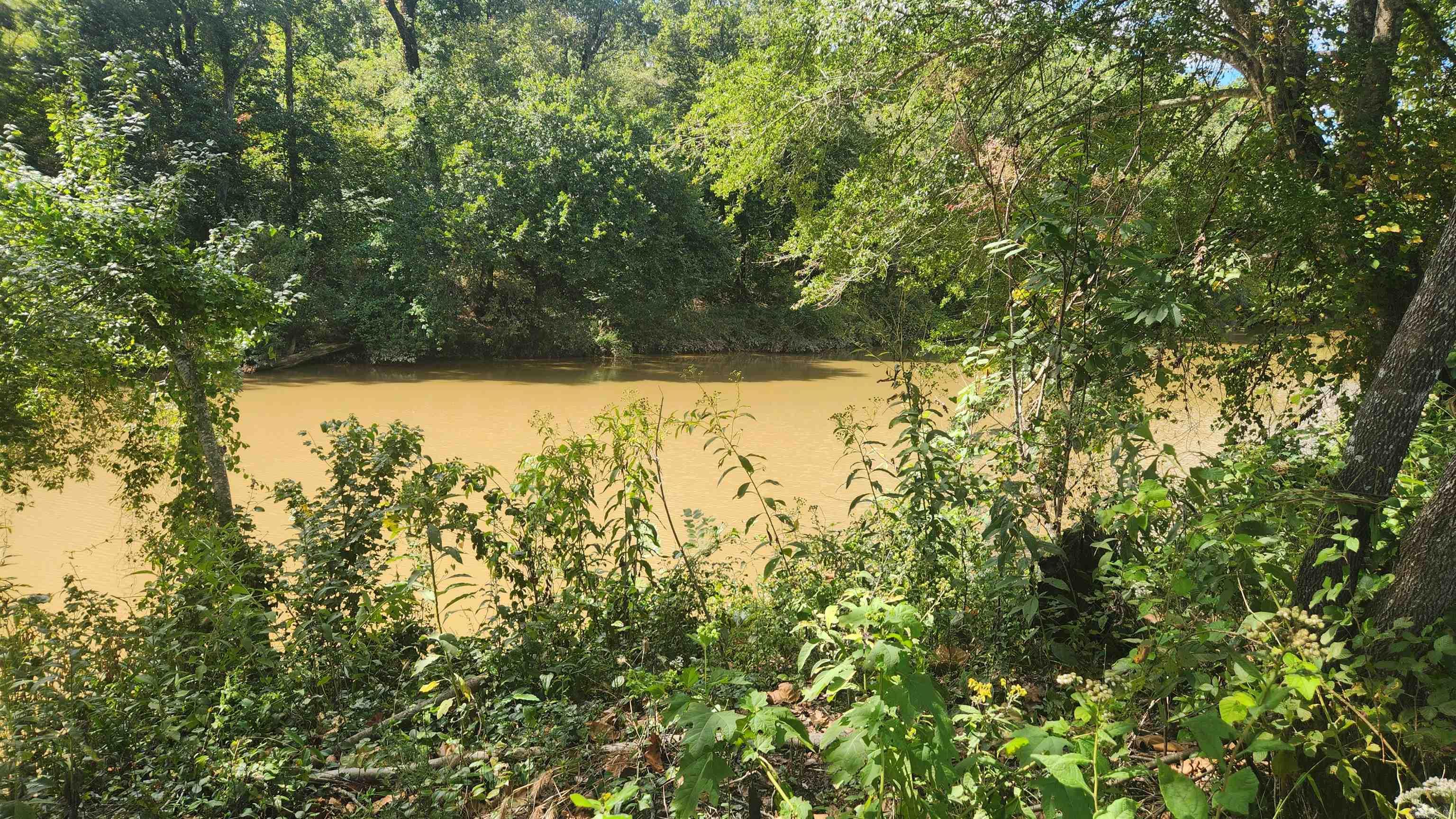 239 (Lot#14E) Reva's Way  Story, AR