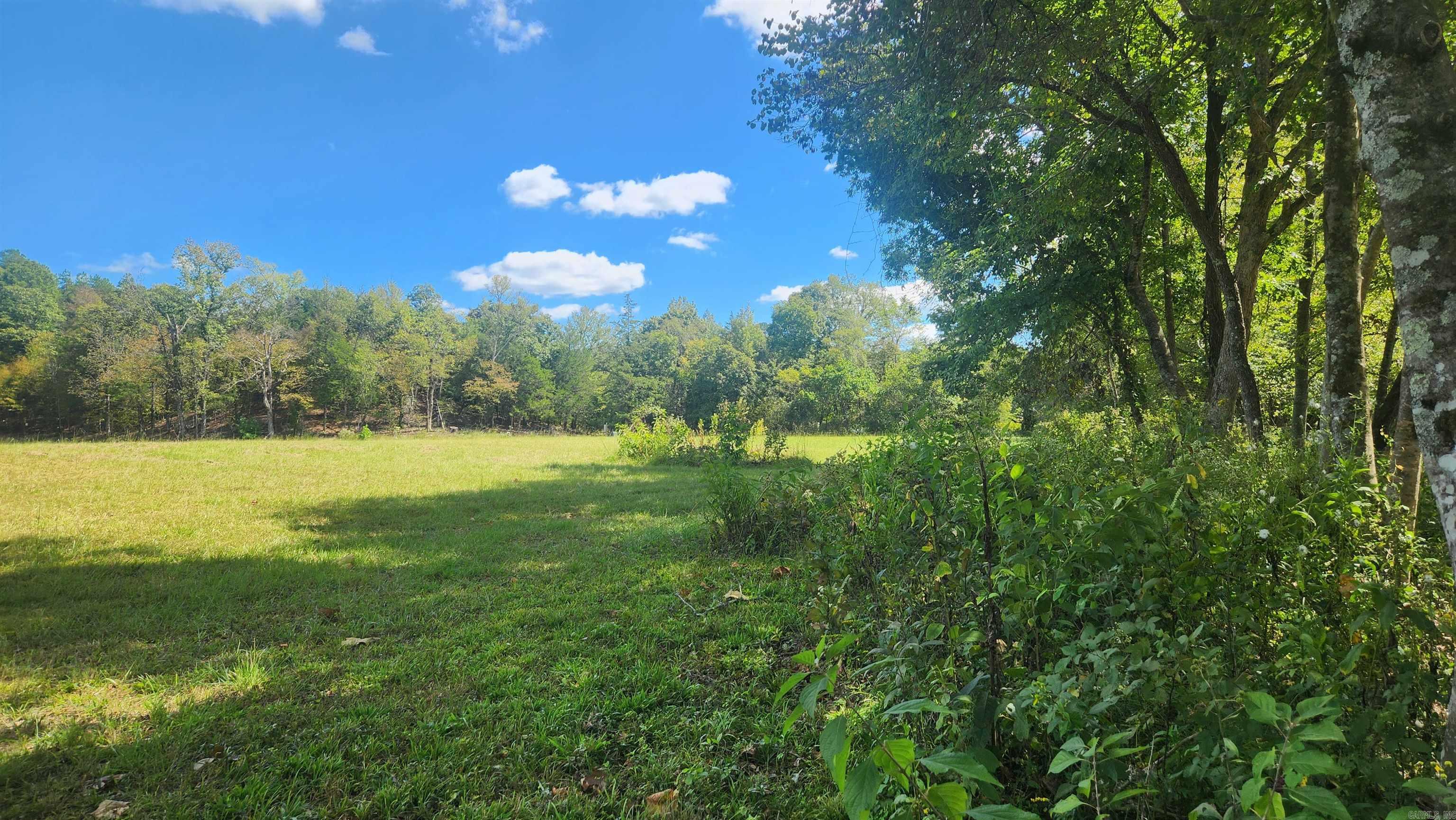 239 (Lot#14E) Reva's Way  Story, AR