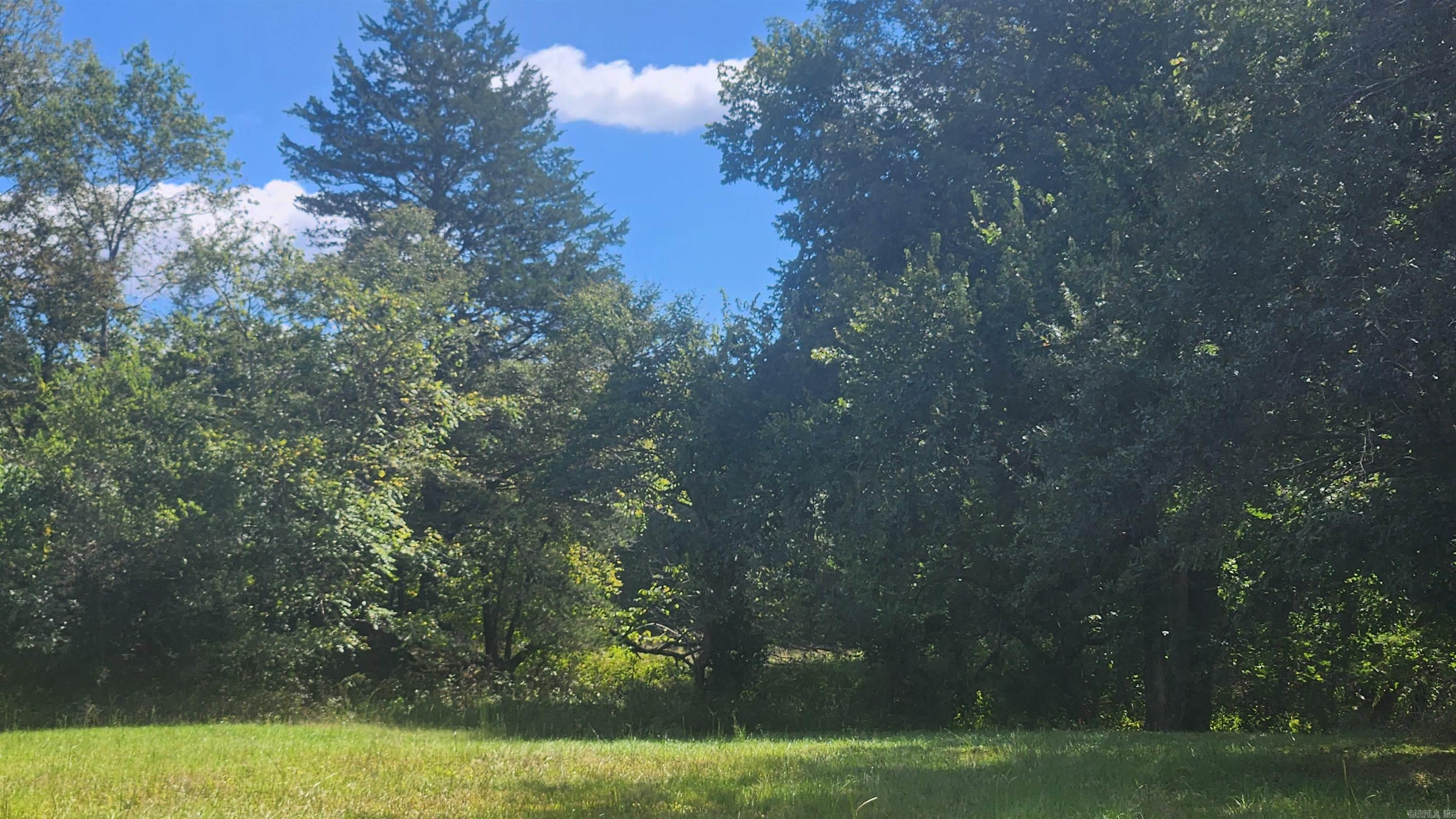 239 (Lot#14E) Reva's Way  Story, AR