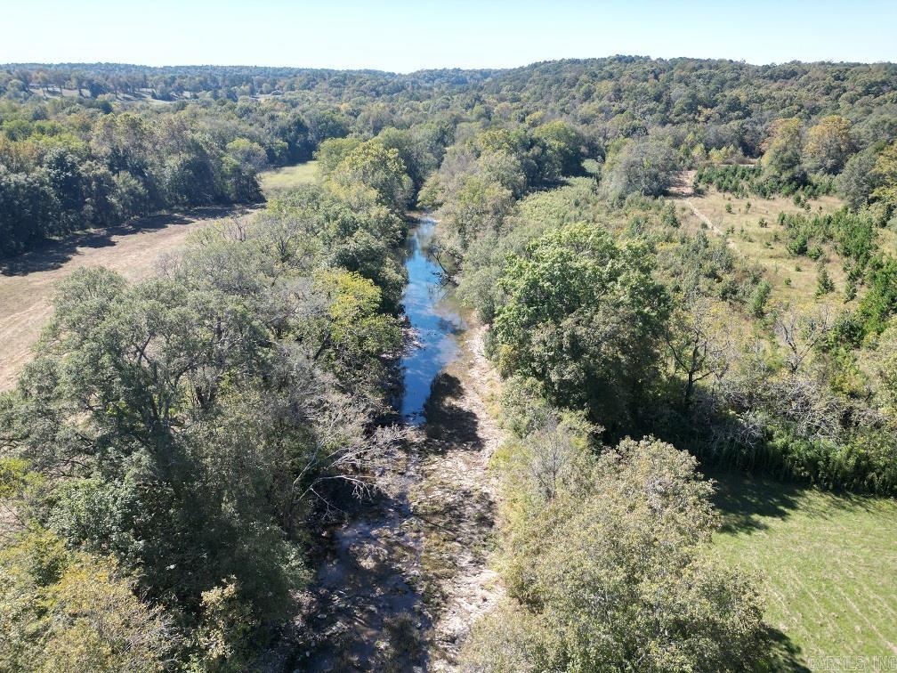 1337 Polk Road 38  Hatfield, AR