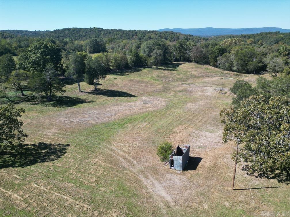 1337 Polk Road 38  Hatfield, AR