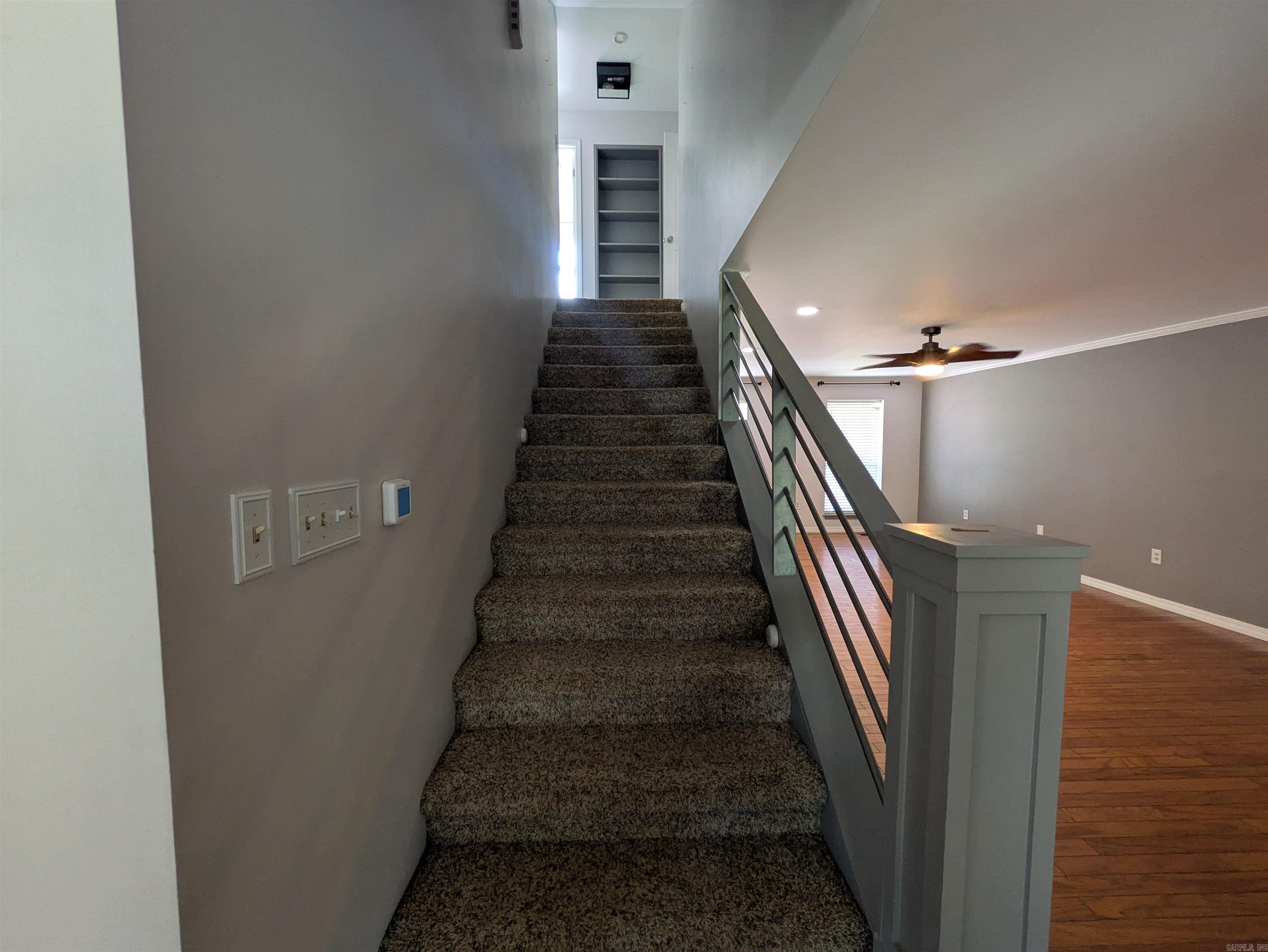 7 Cedar Creek  Clarksville, AR