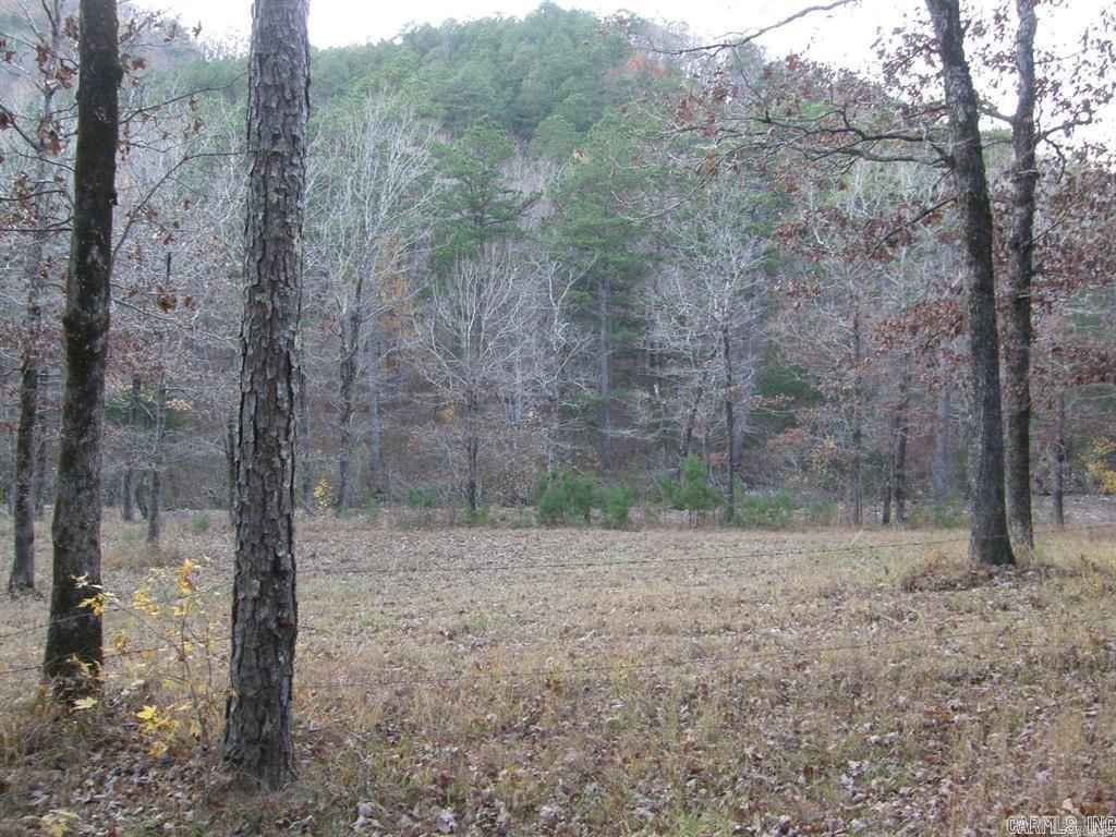 155 Shady Lane  Mena, AR