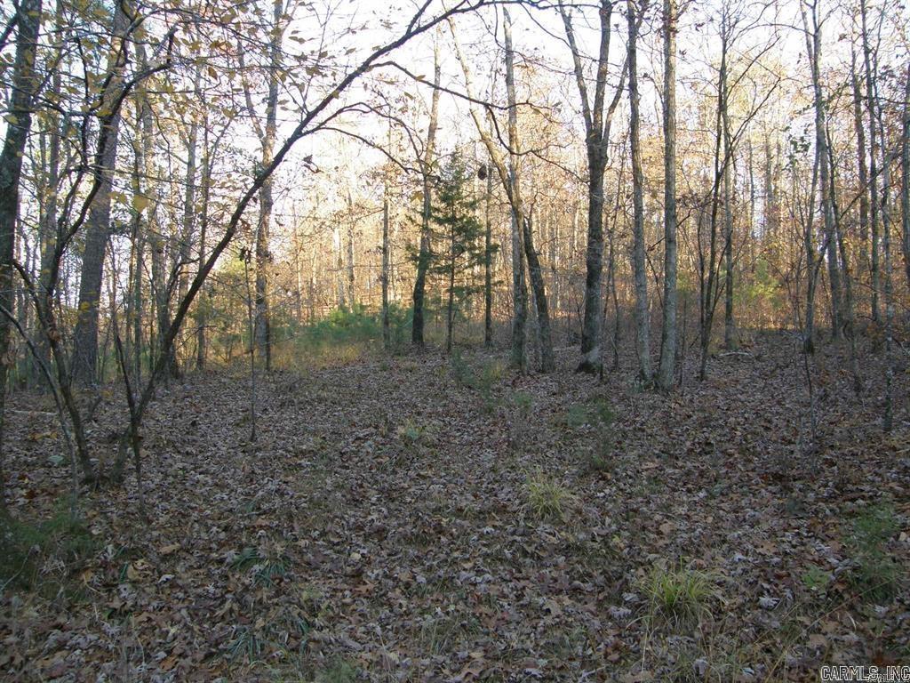 155 Shady Lane  Mena, AR