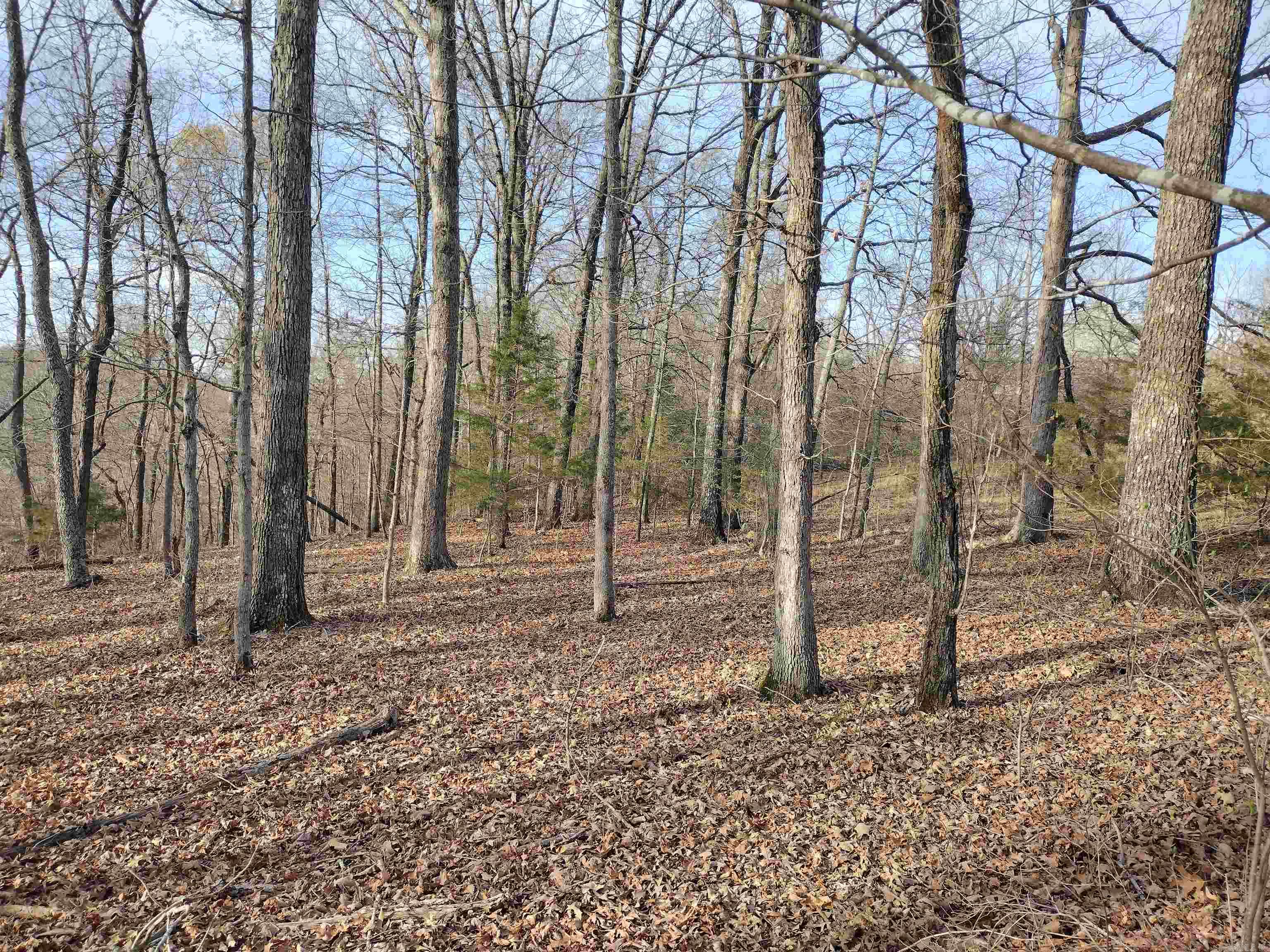 30121 HWy 263 N  Mountain View, AR