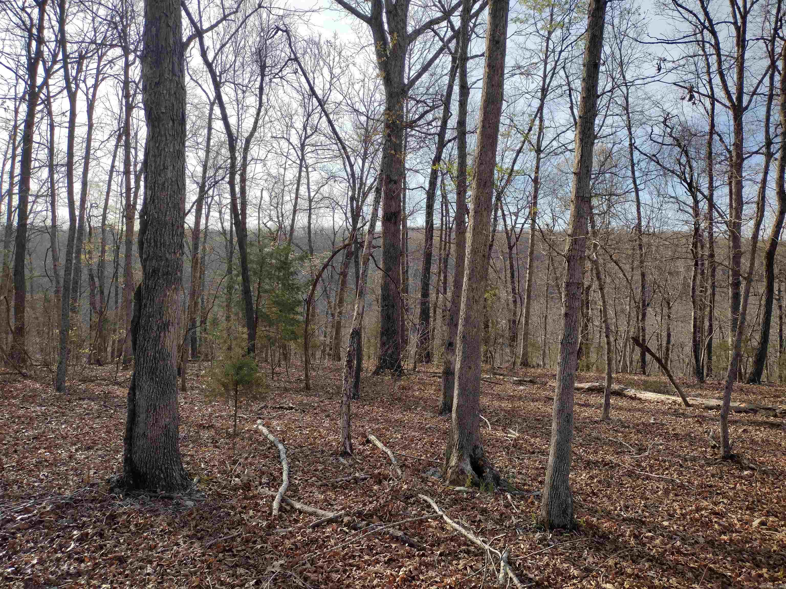 30121 HWy 263 N  Mountain View, AR