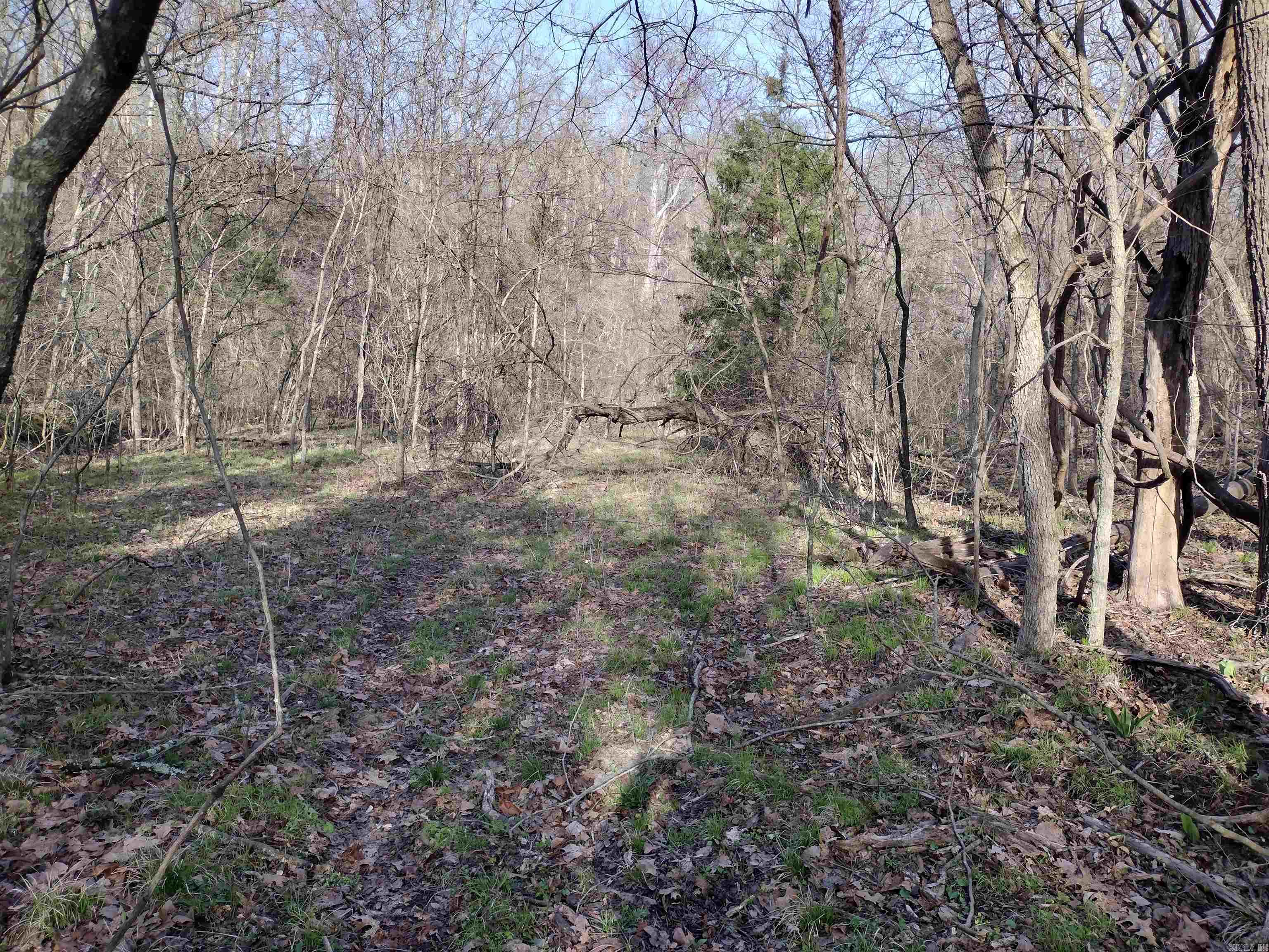 30121 HWy 263 N  Mountain View, AR