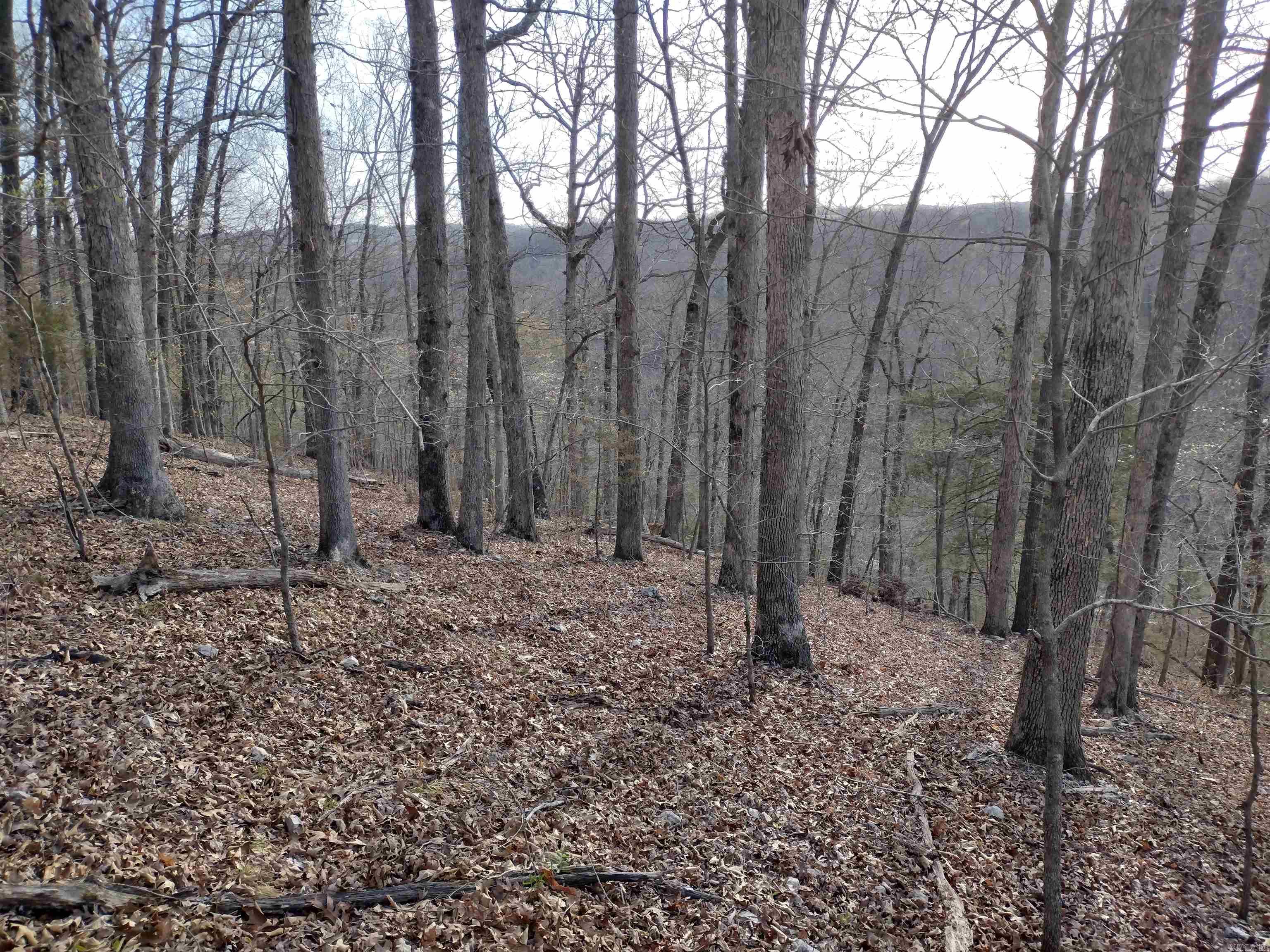 30121 HWy 263 N  Mountain View, AR