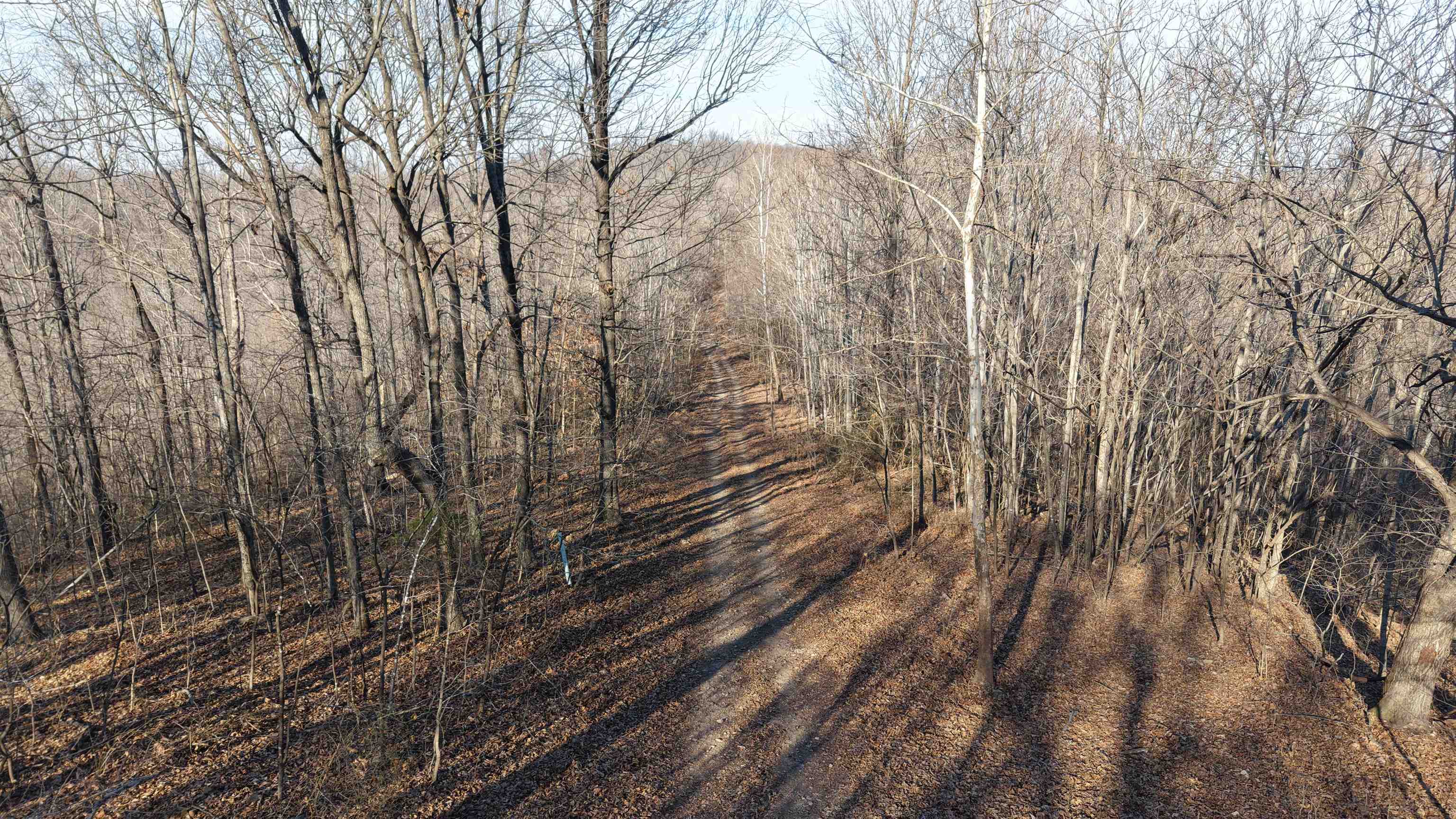 115A Greasy Bottom Road  Melbourne, AR