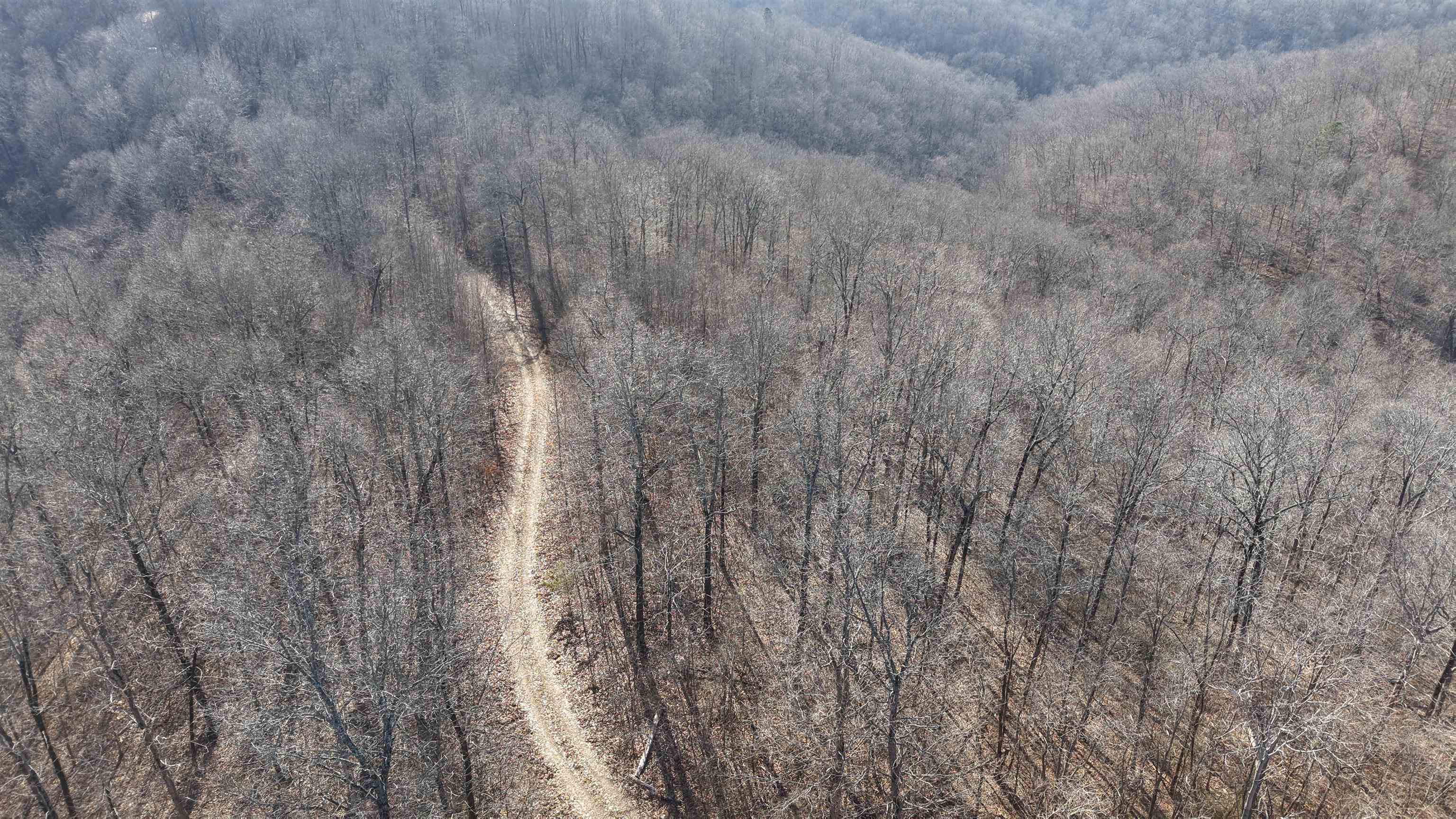 115A Greasy Bottom Road  Melbourne, AR