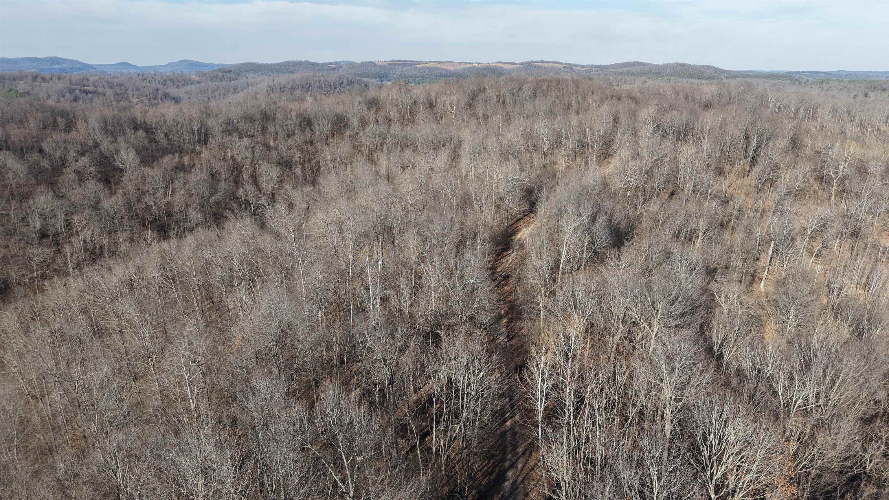 115A Greasy Bottom Road  Melbourne, AR