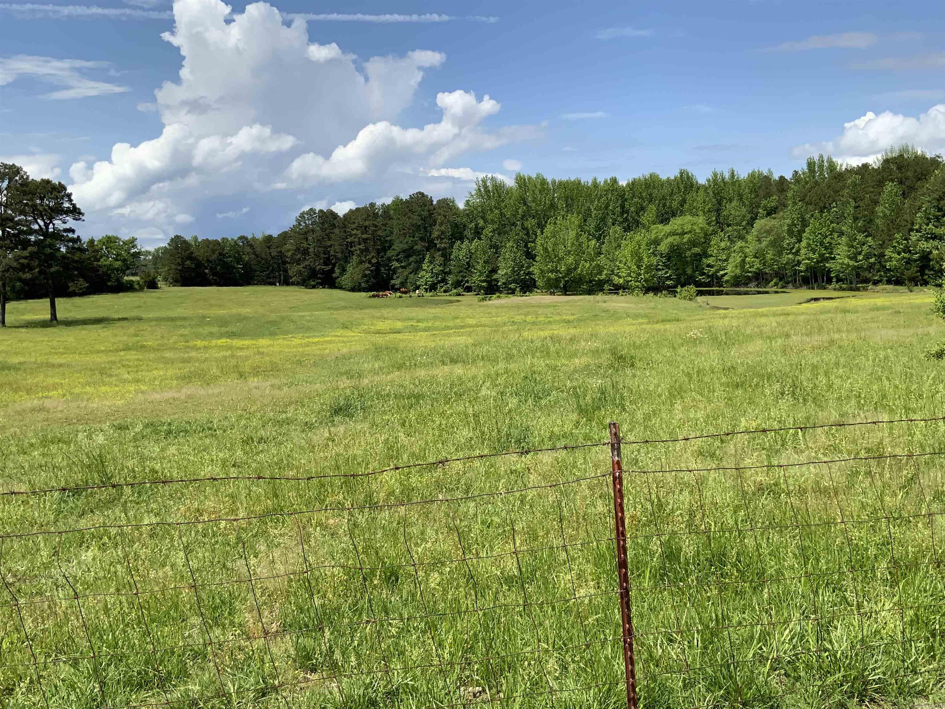 1549 Little Rock Road Heber Springs, AR 72543