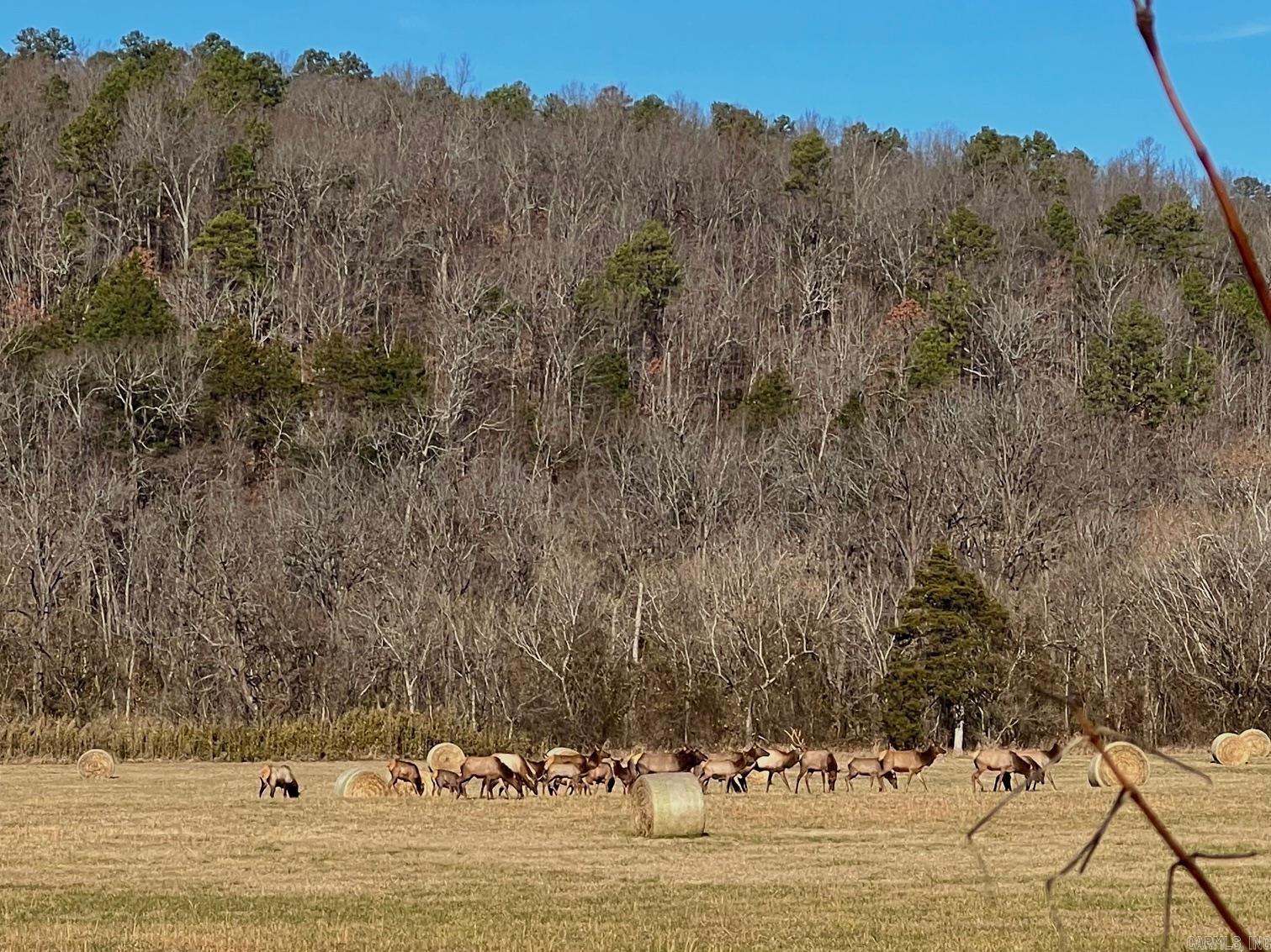 1141 Wafted Lane Tract 4  Marshall, AR