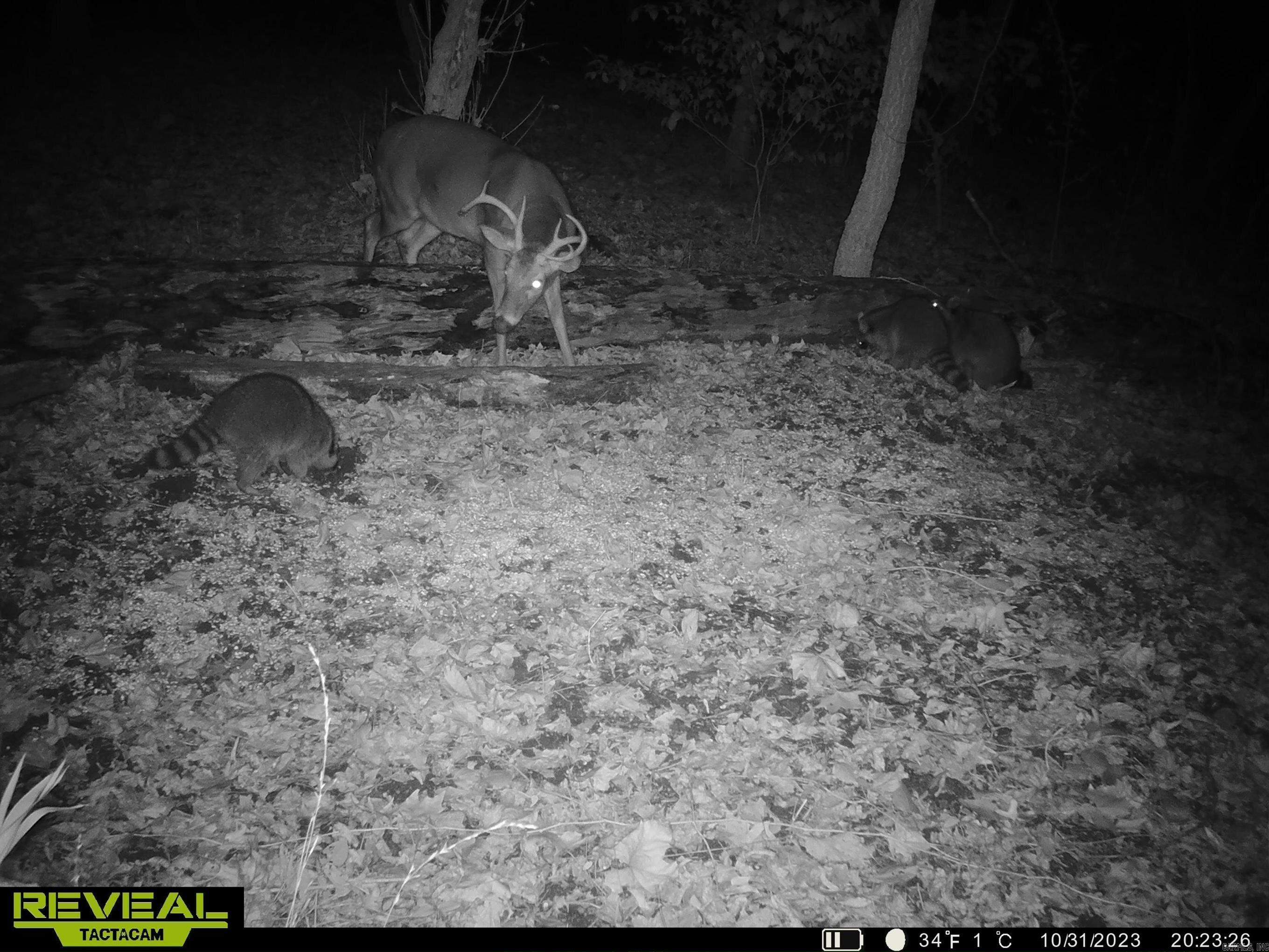 1141 Wafted Lane Tract 4  Marshall, AR