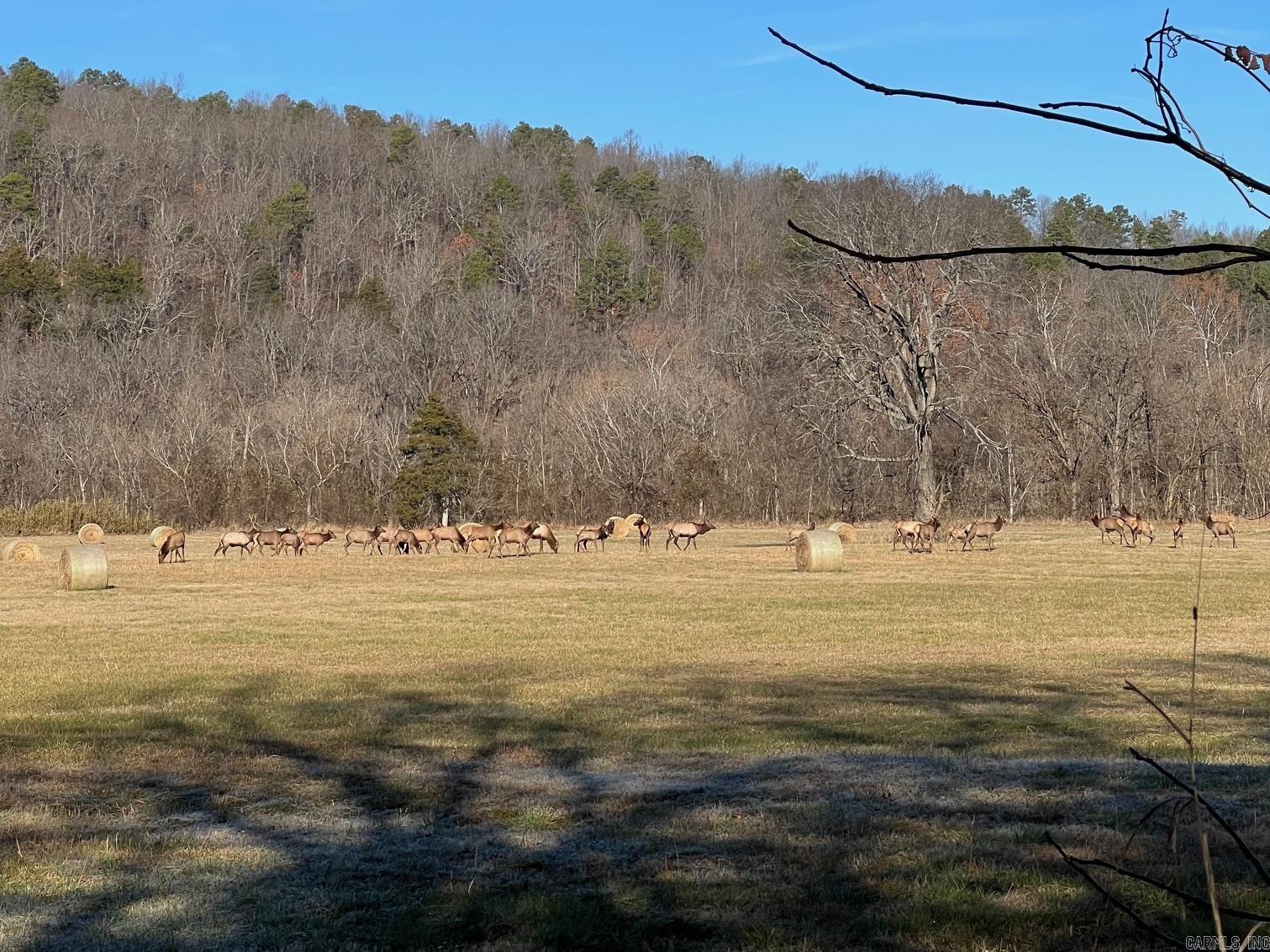 1141 Wafted Lane Tract 1 Marshall, AR 72650